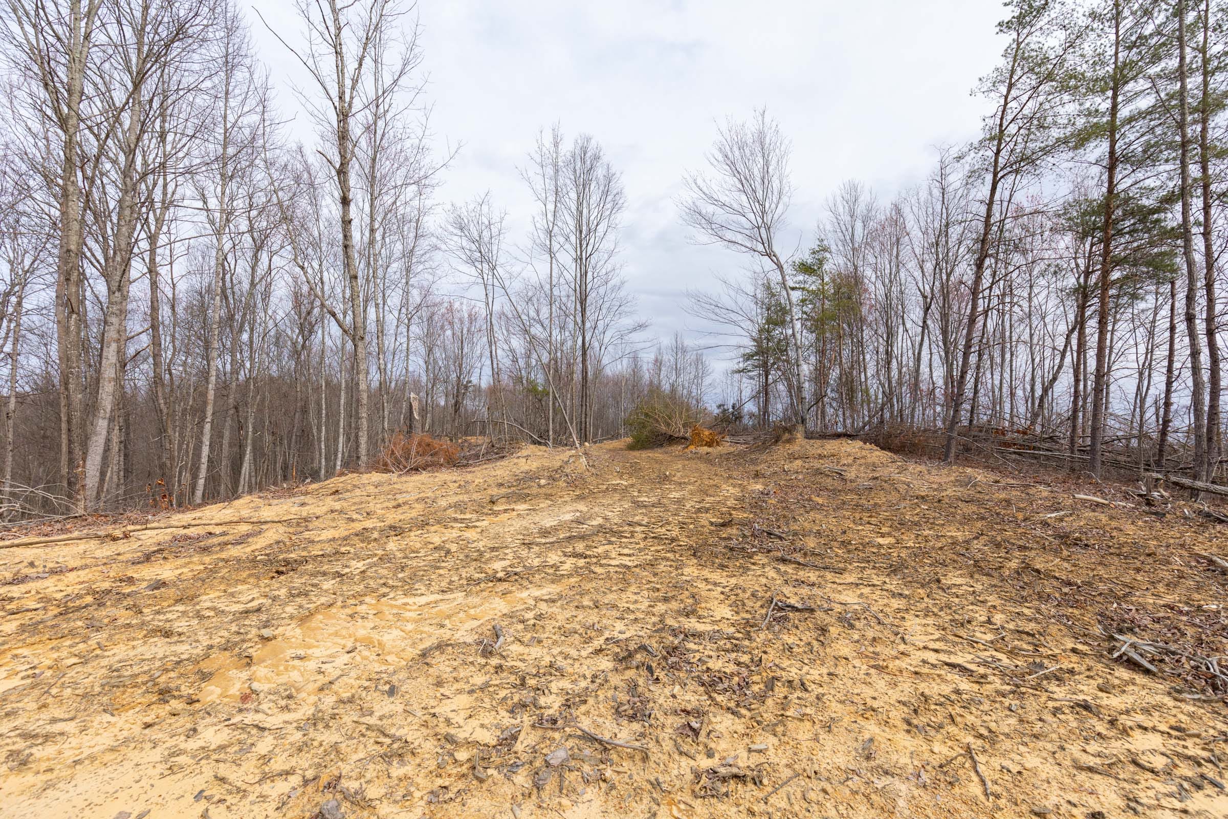 Creek Hollow Phase I Tract 1 photo 16