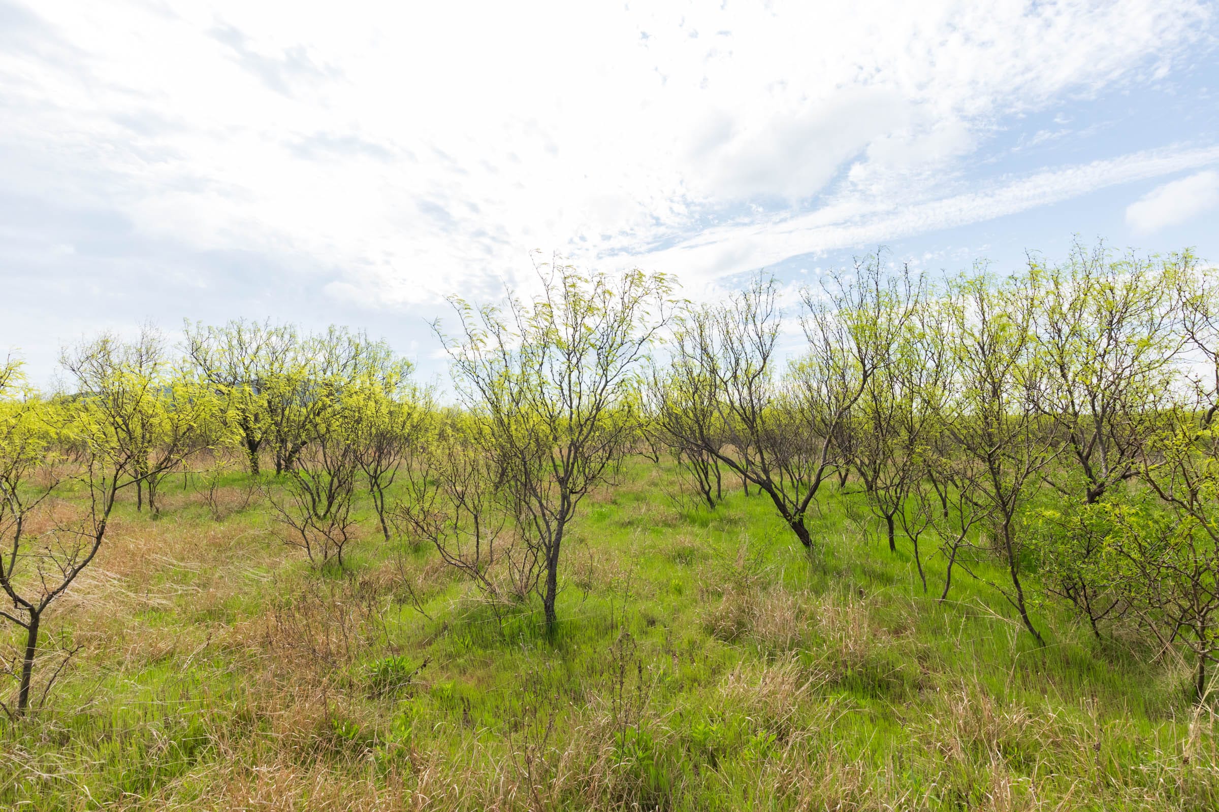 Granite Valley Tract 5 photo 10