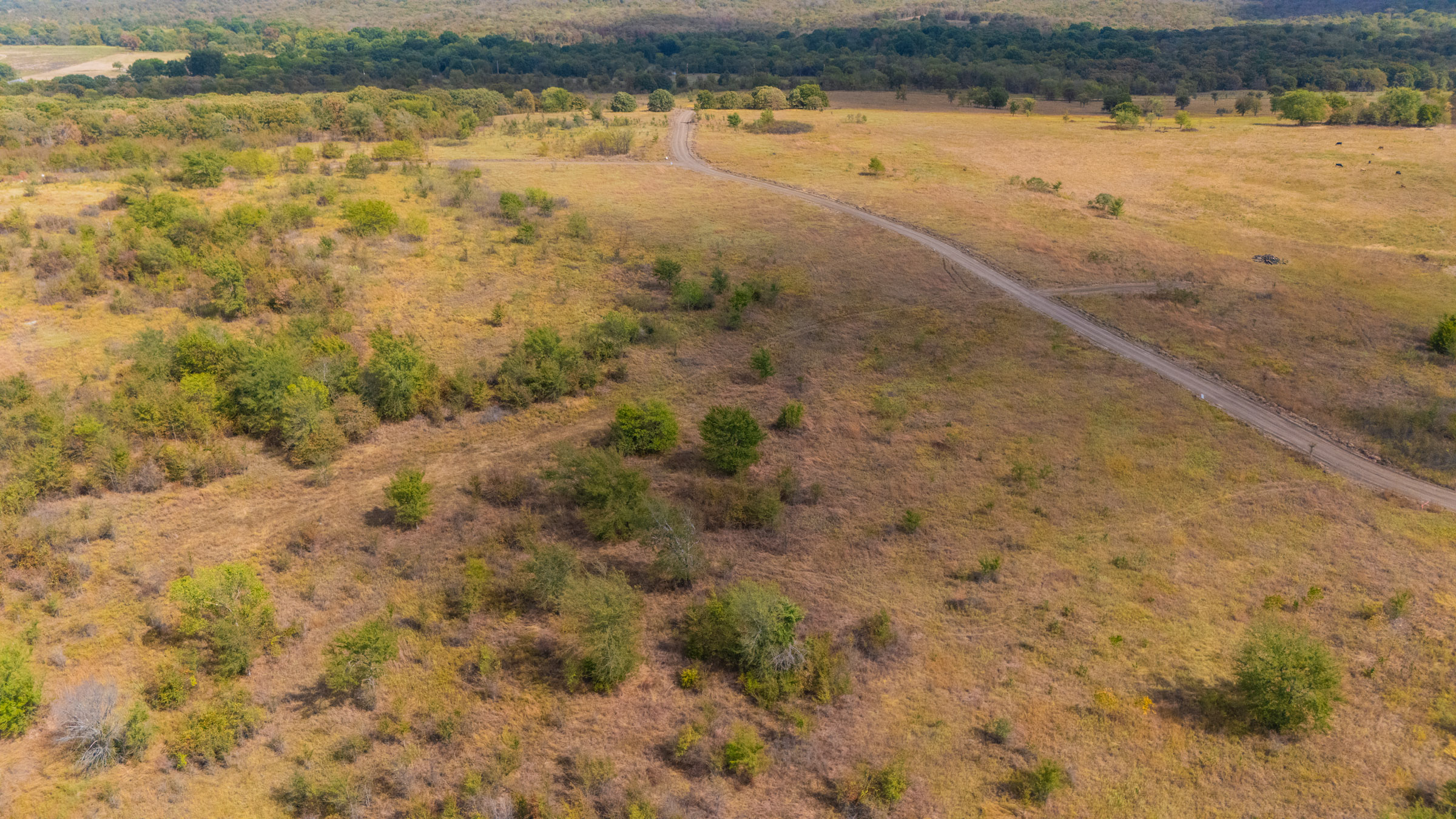 Gracyn Meadows Tract 12 photo 4