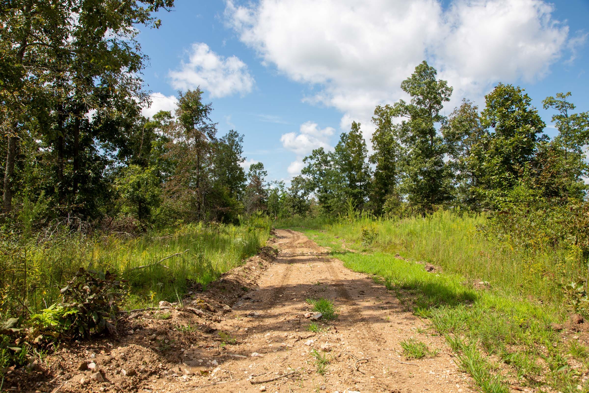 Borgmann’s Hollow Phase II Tract 52 photo 2
