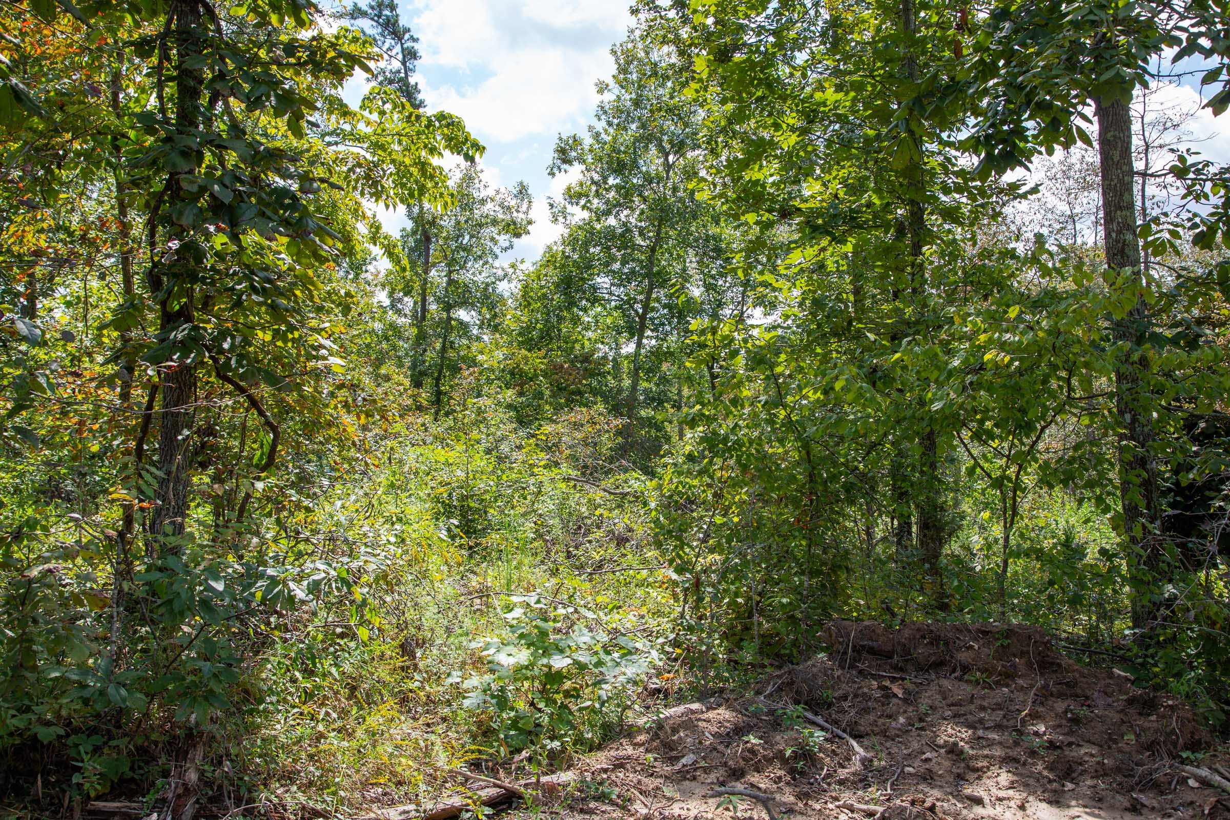 Borgmann’s Hollow Phase II Tract 52 photo 6