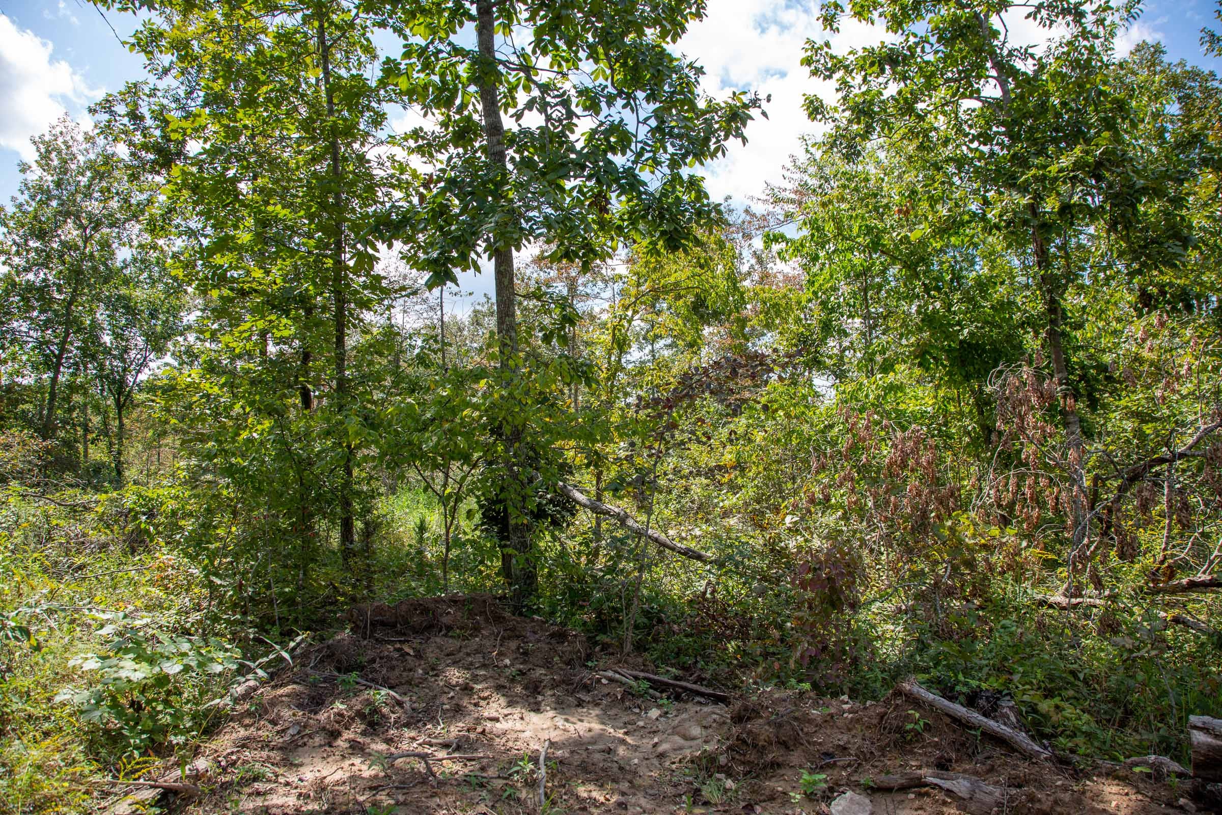 Borgmann’s Hollow Phase II Tract 52 photo 7