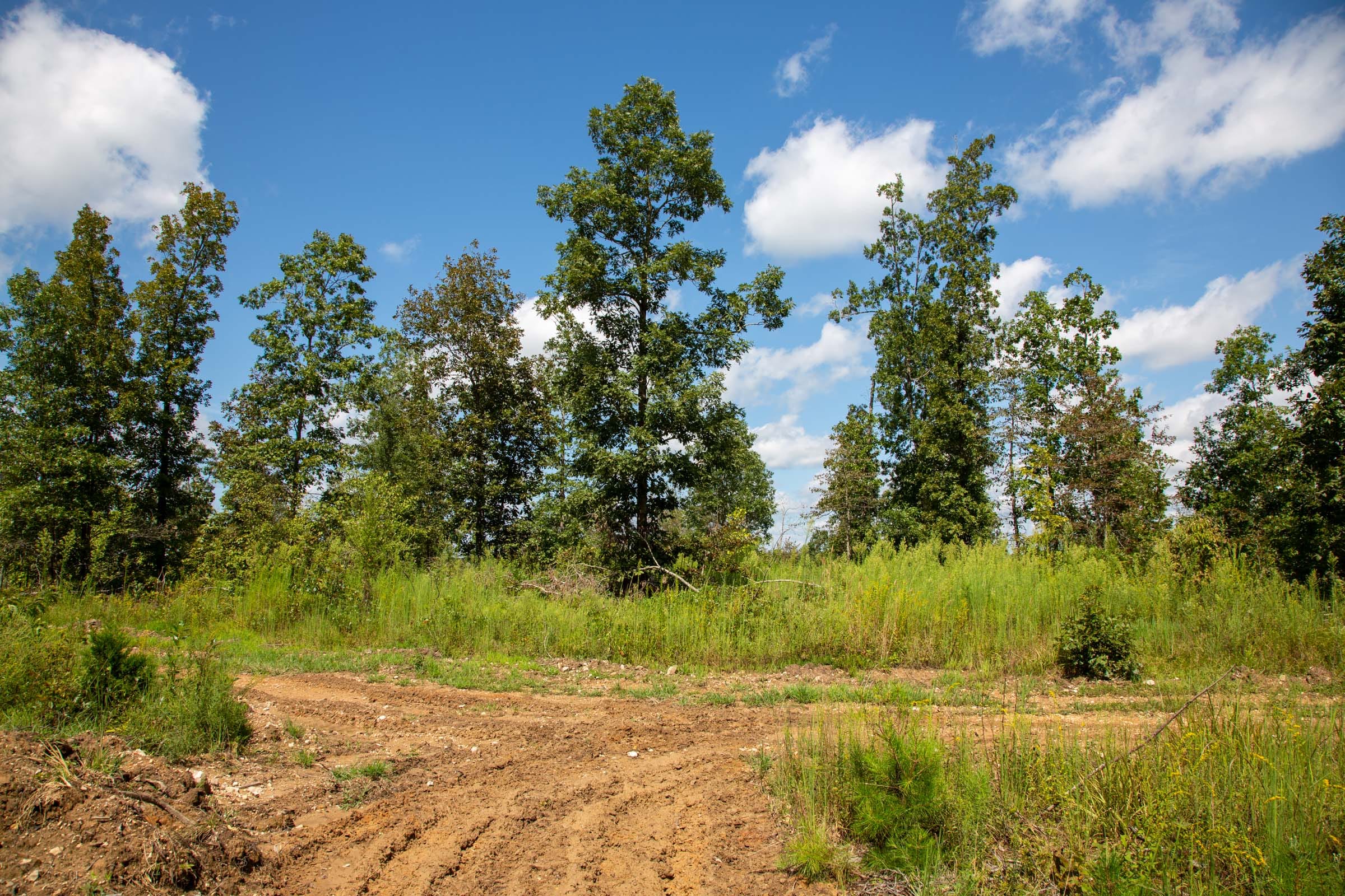 Borgmann’s Hollow Phase II Tract 52 photo 5