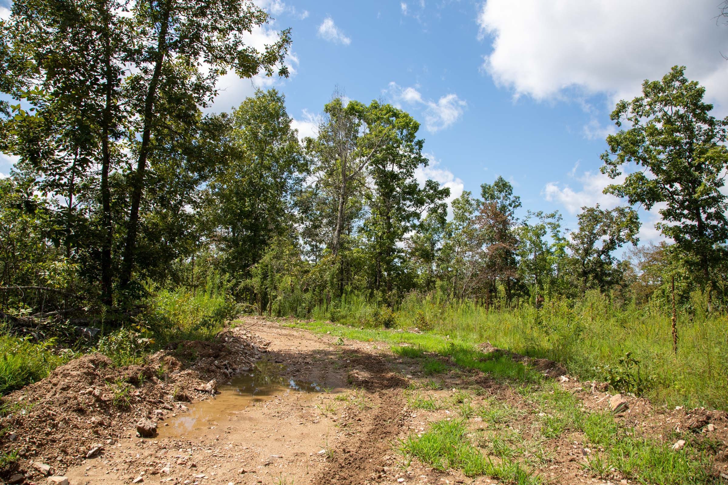 Borgmann’s Hollow Phase II Tract 52 photo 8