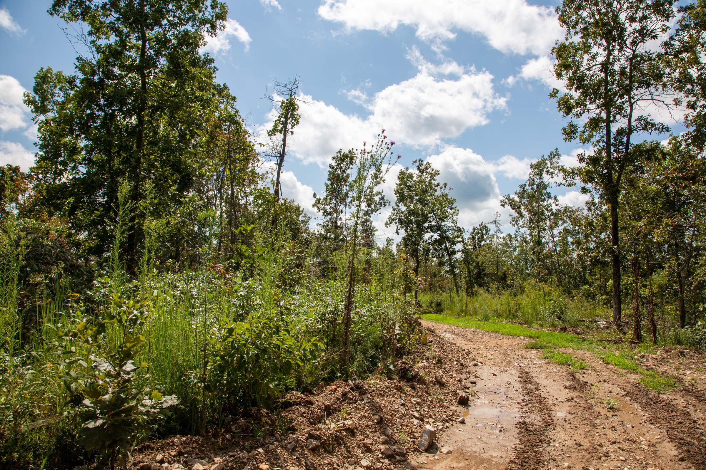 Borgmann’s Hollow Phase II Tract 52 photo 11