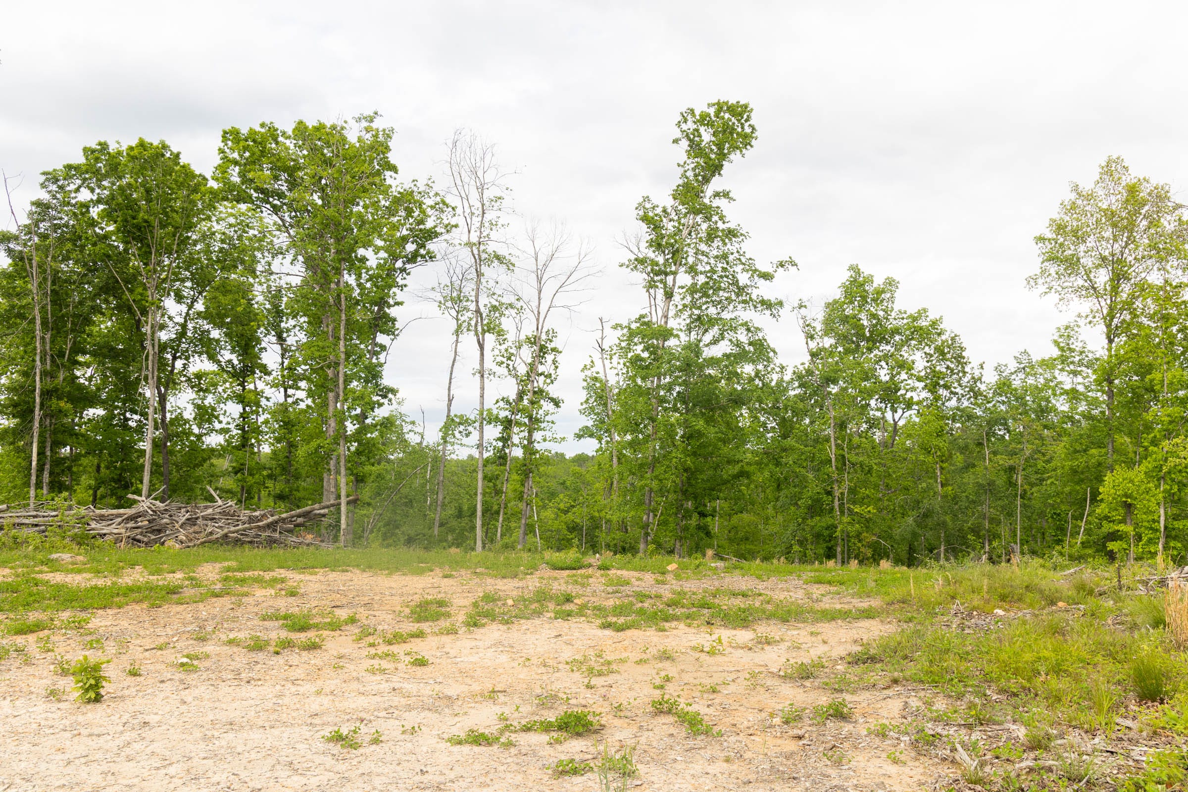 Stardust Estates Tract 29 photo 12