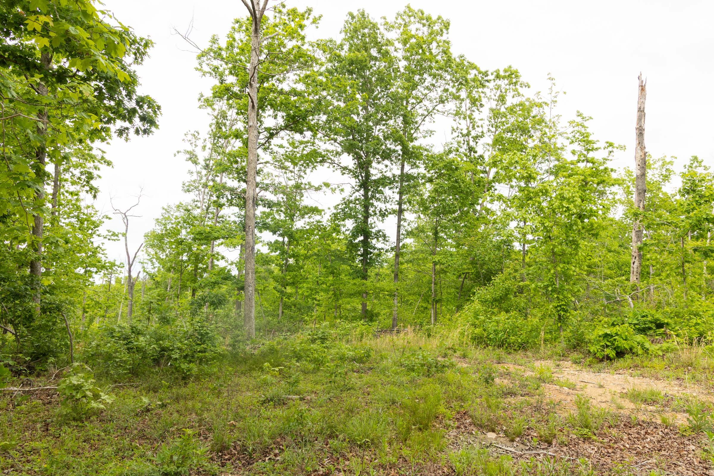 Stardust Estates Tract 29 photo 4