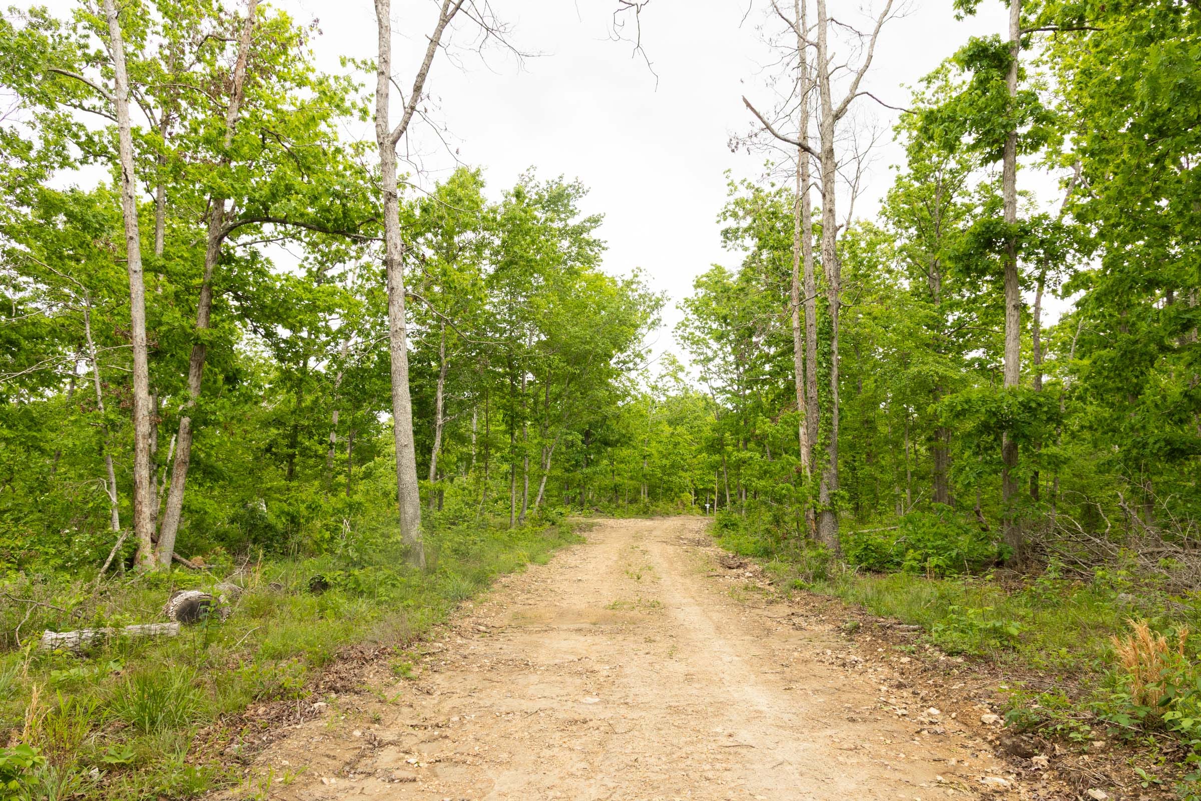 Stardust Estates Tract 29 photo 3