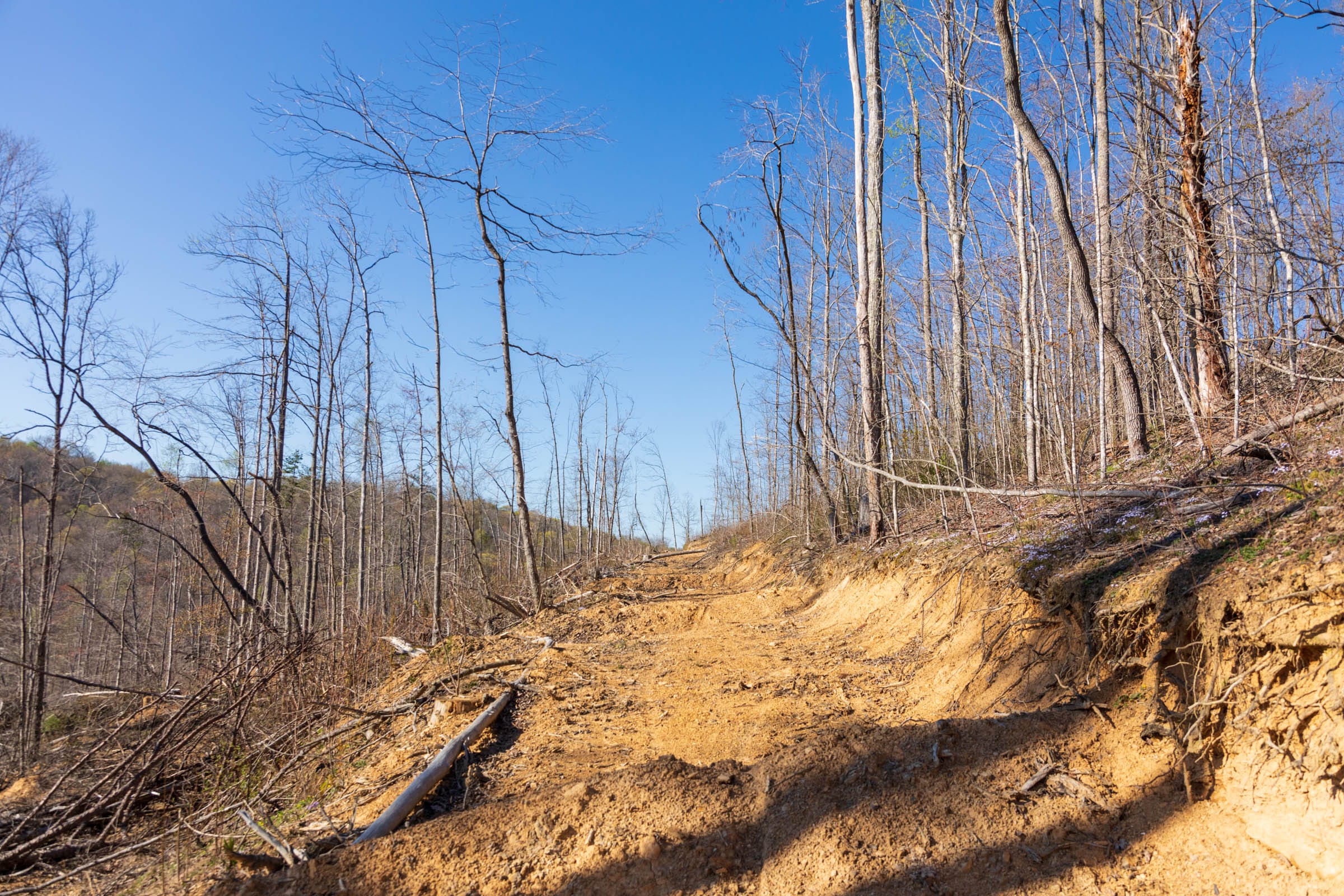Creek Hollow Phase I Tract 40 photo 4
