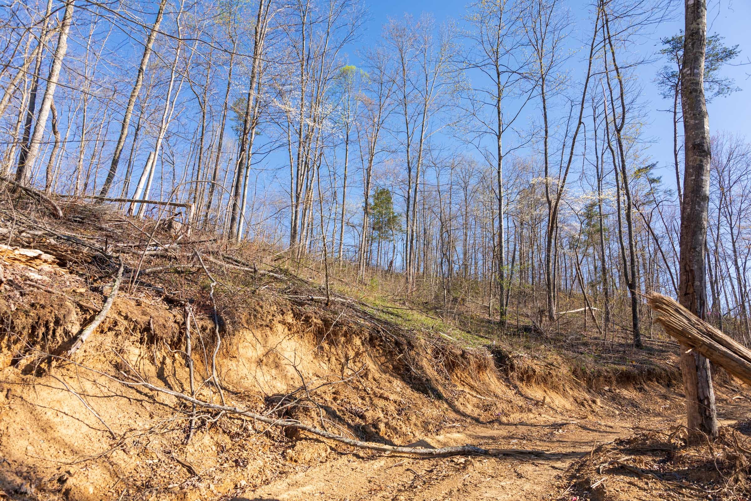 Creek Hollow Phase I Tract 40 photo 6