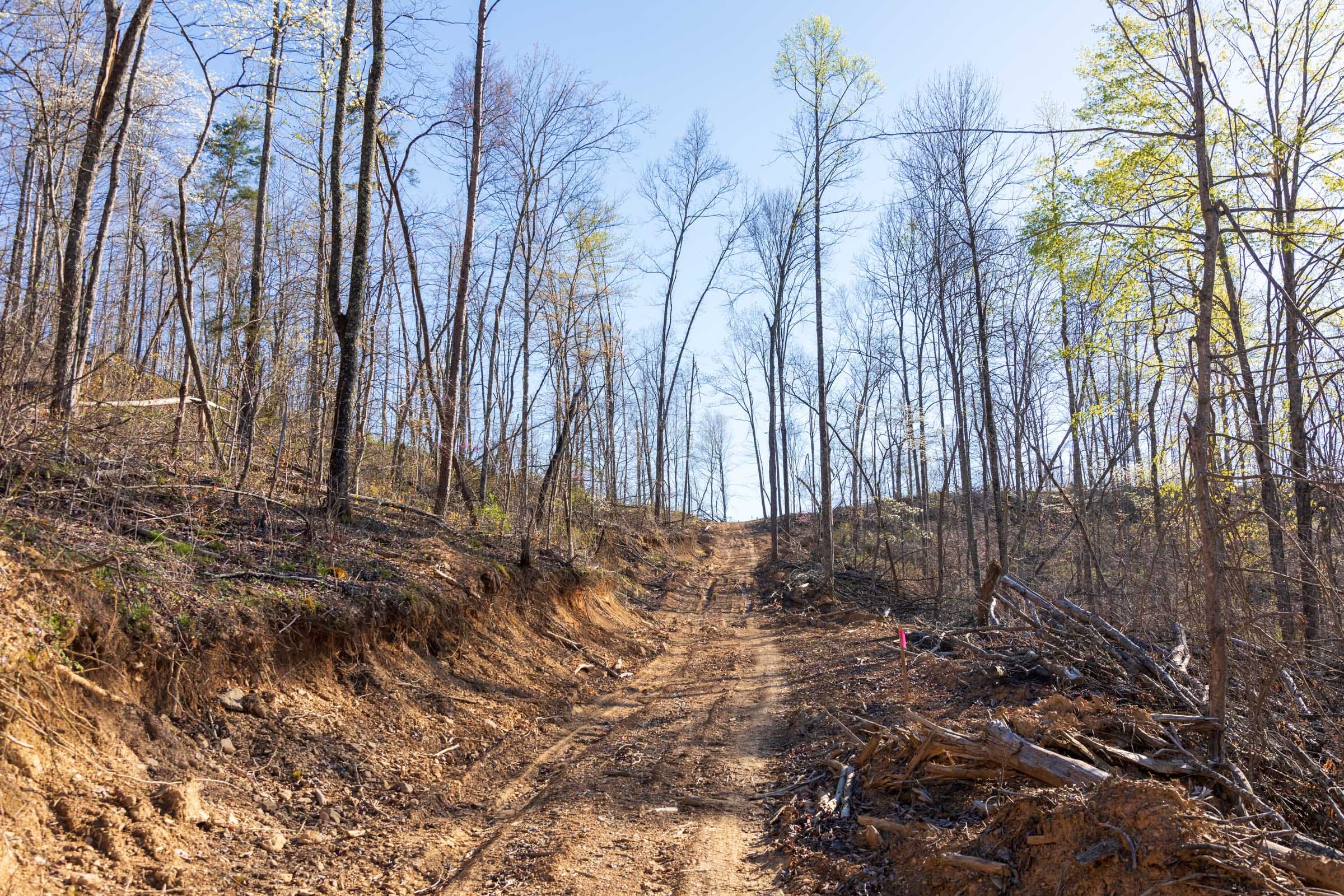 Creek Hollow Phase I Tract 40 photo 2
