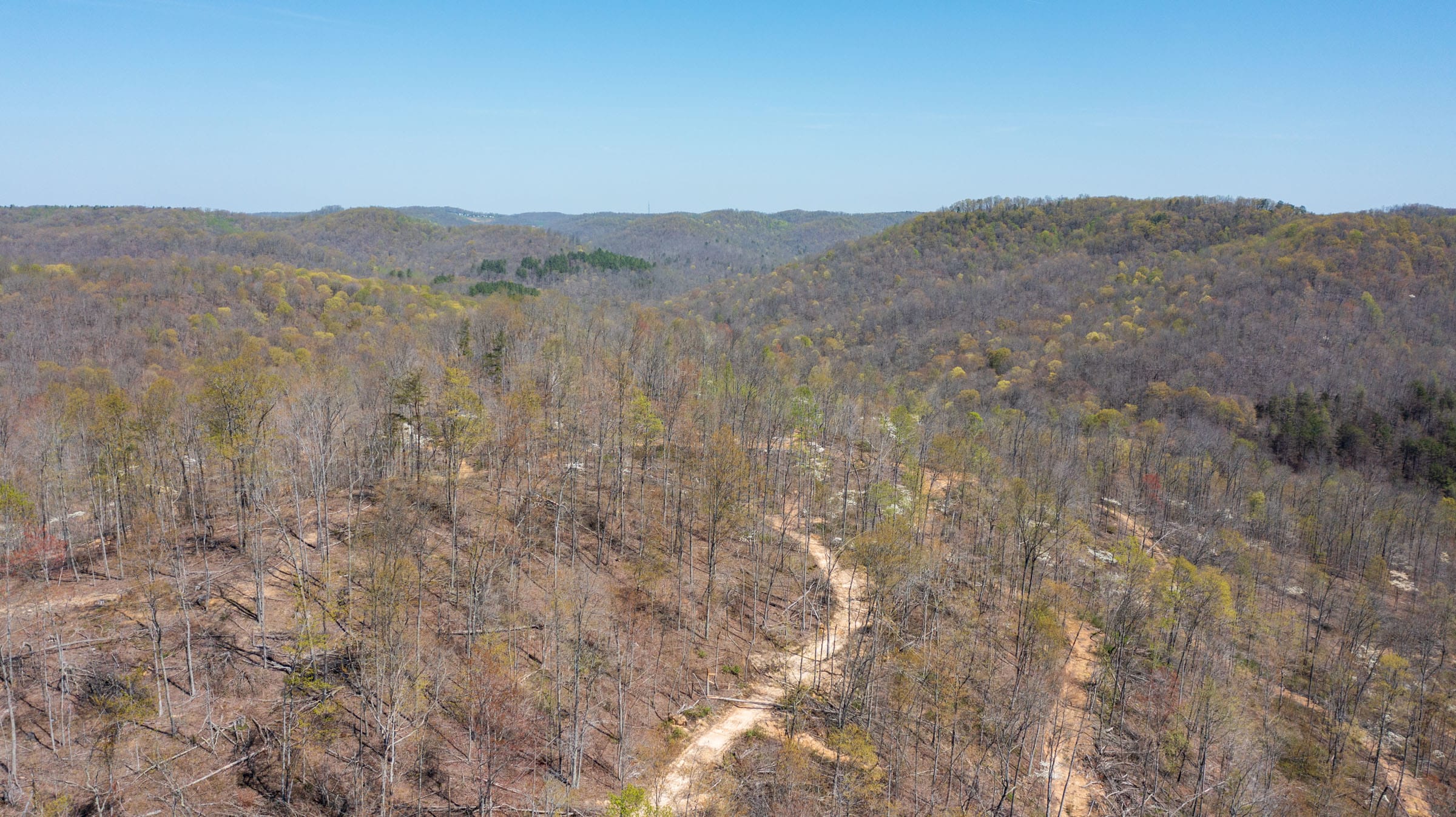 Creek Hollow Phase I Tract 40 photo 8