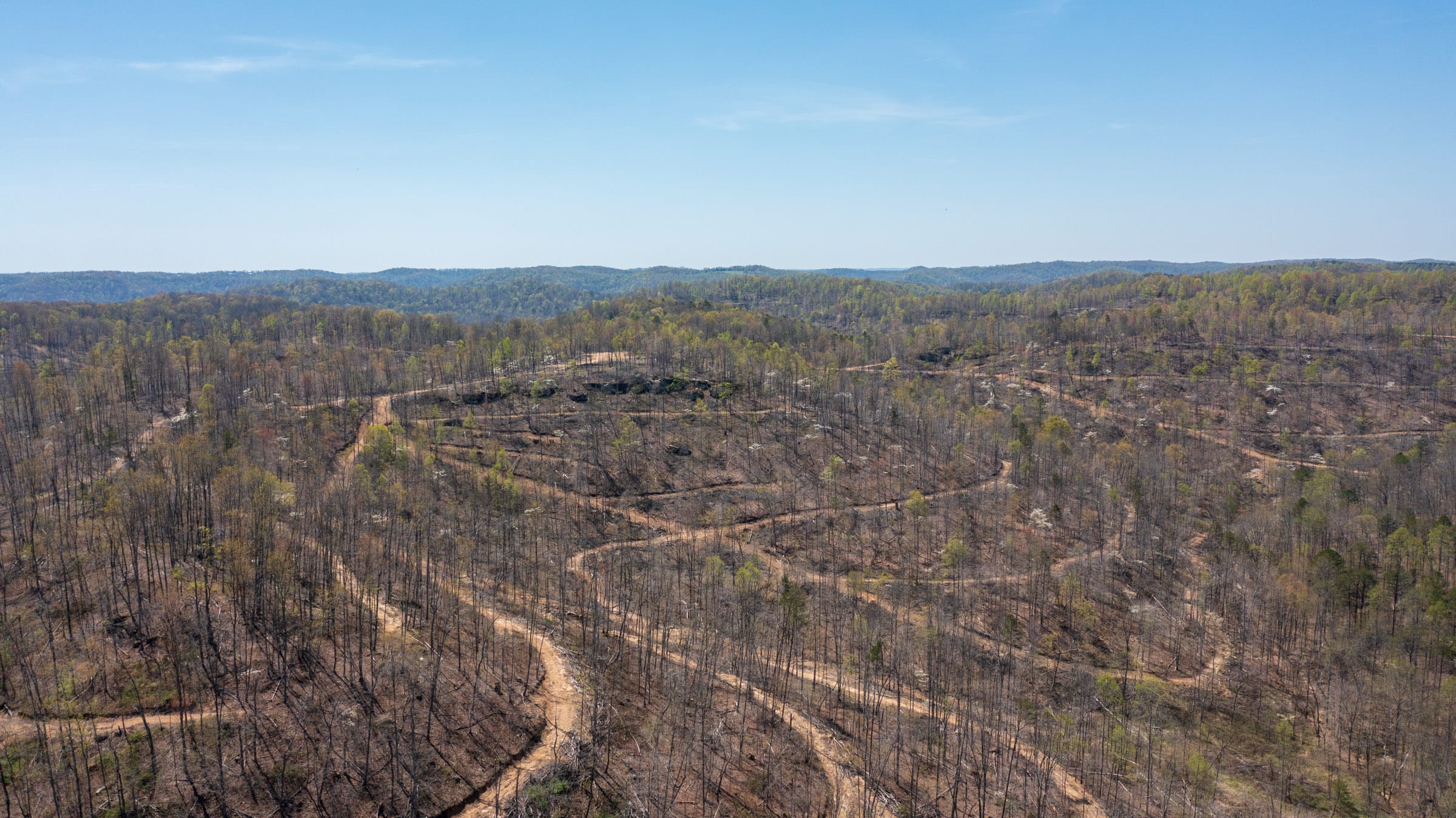 Creek Hollow Phase I Tract 40 photo 9