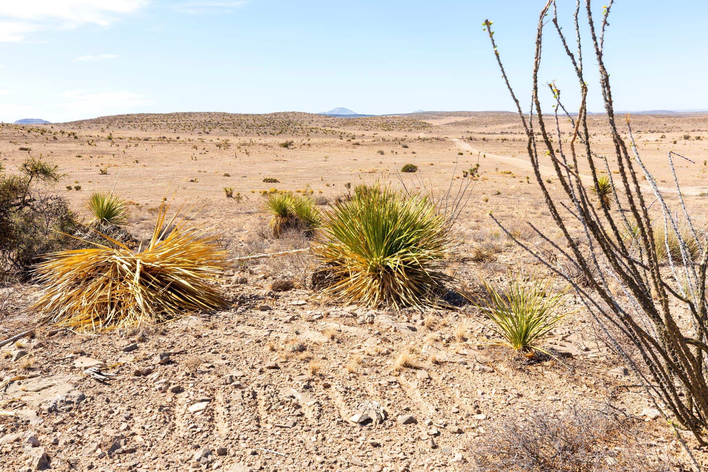 Sunrise Ranches Phase III Tract 117 photo 16