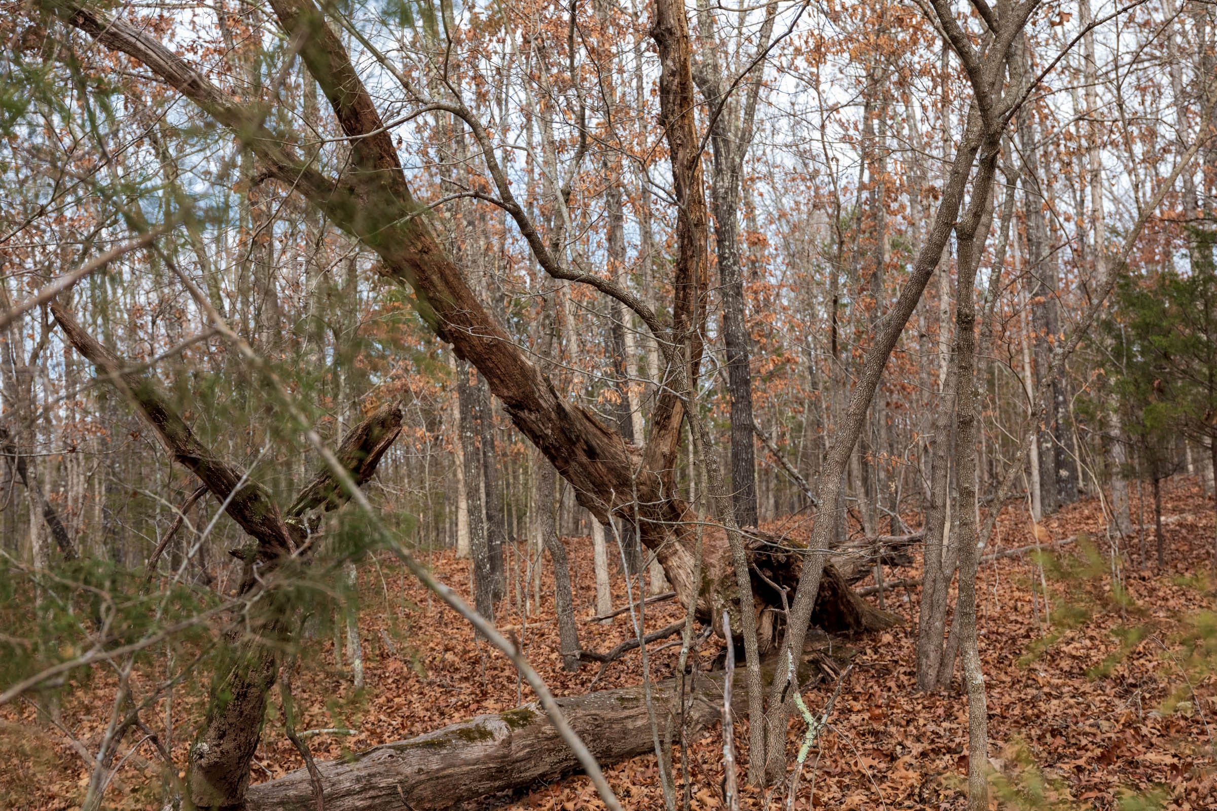 Crossroads Tract 20 photo 3