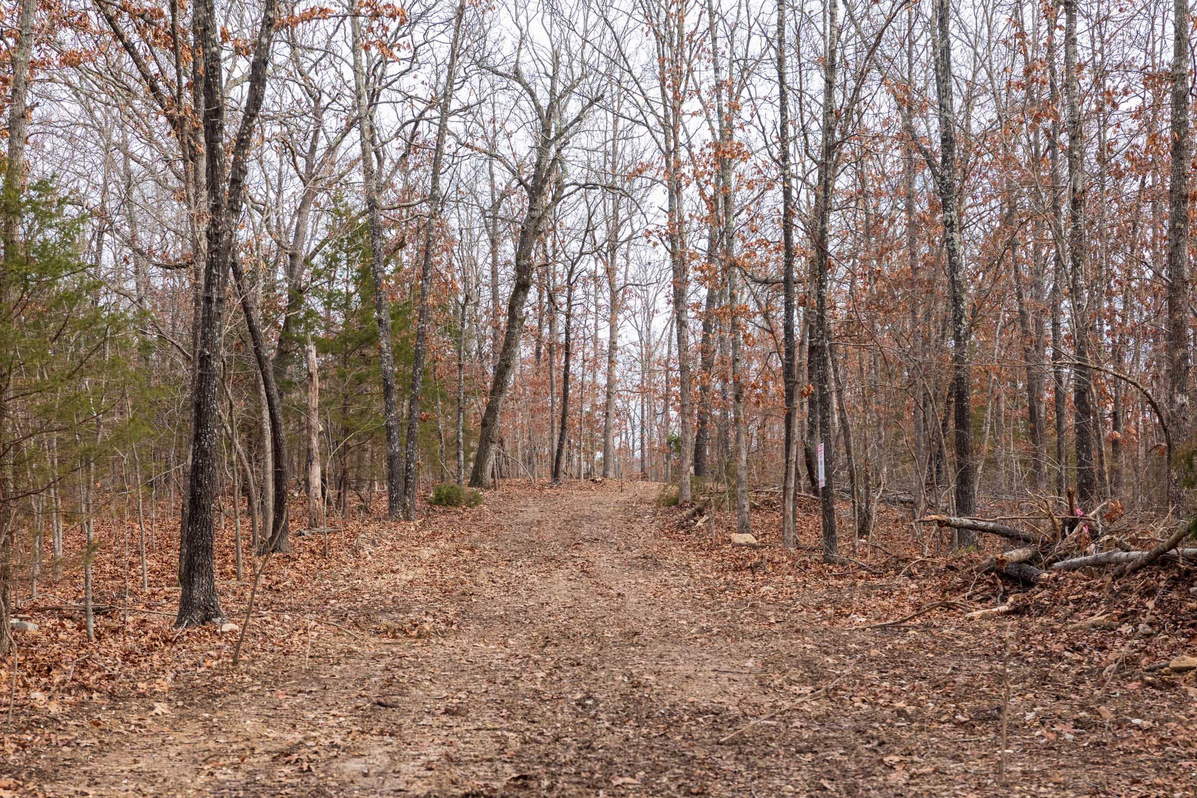 Crossroads Tract 20 photo 1