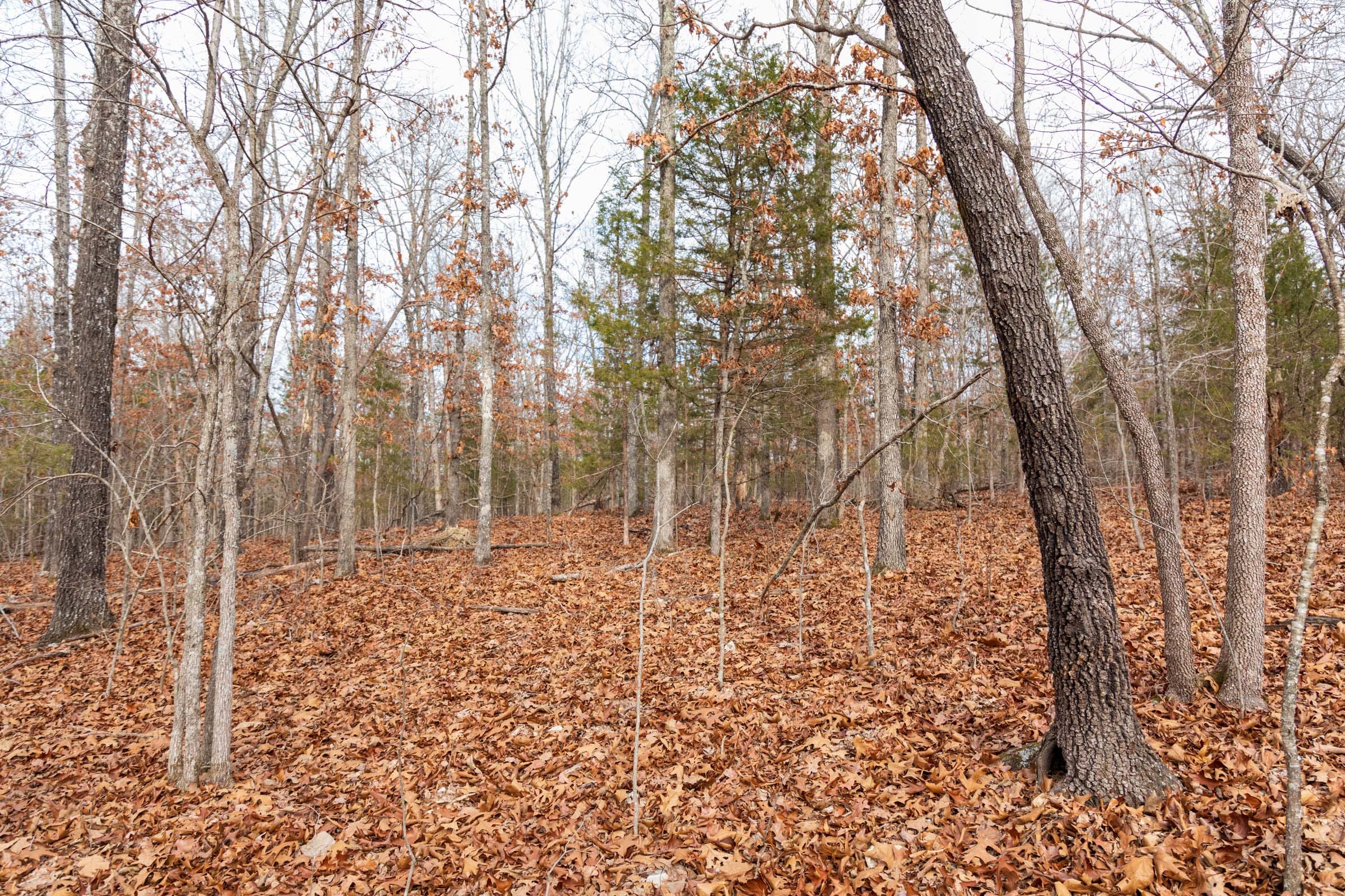 Crossroads Tract 20 photo 4