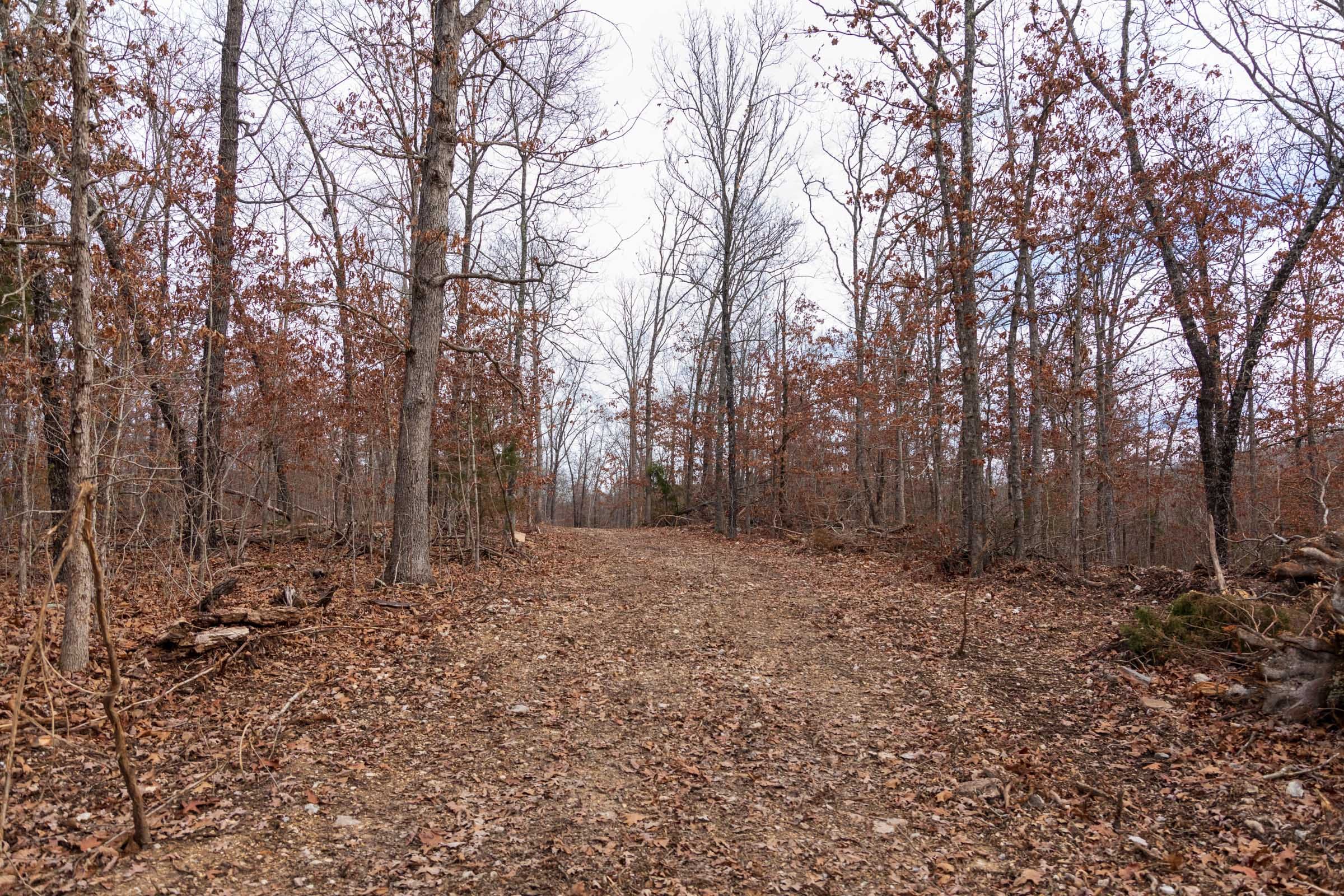 Crossroads Tract 20 photo 6