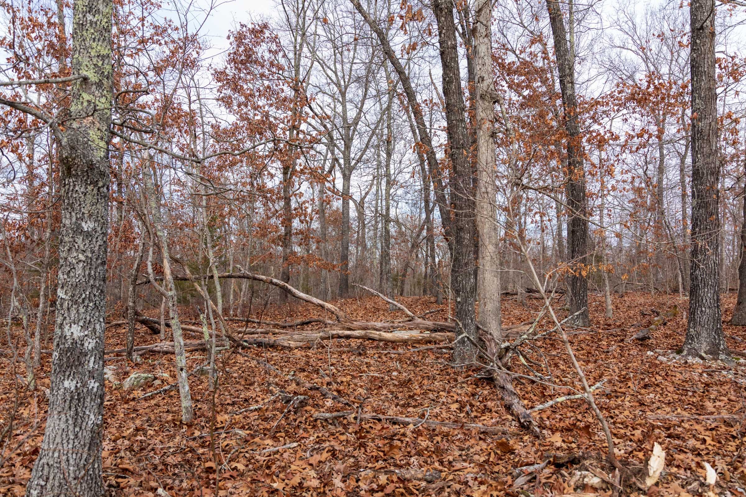 Crossroads Tract 20 photo 8