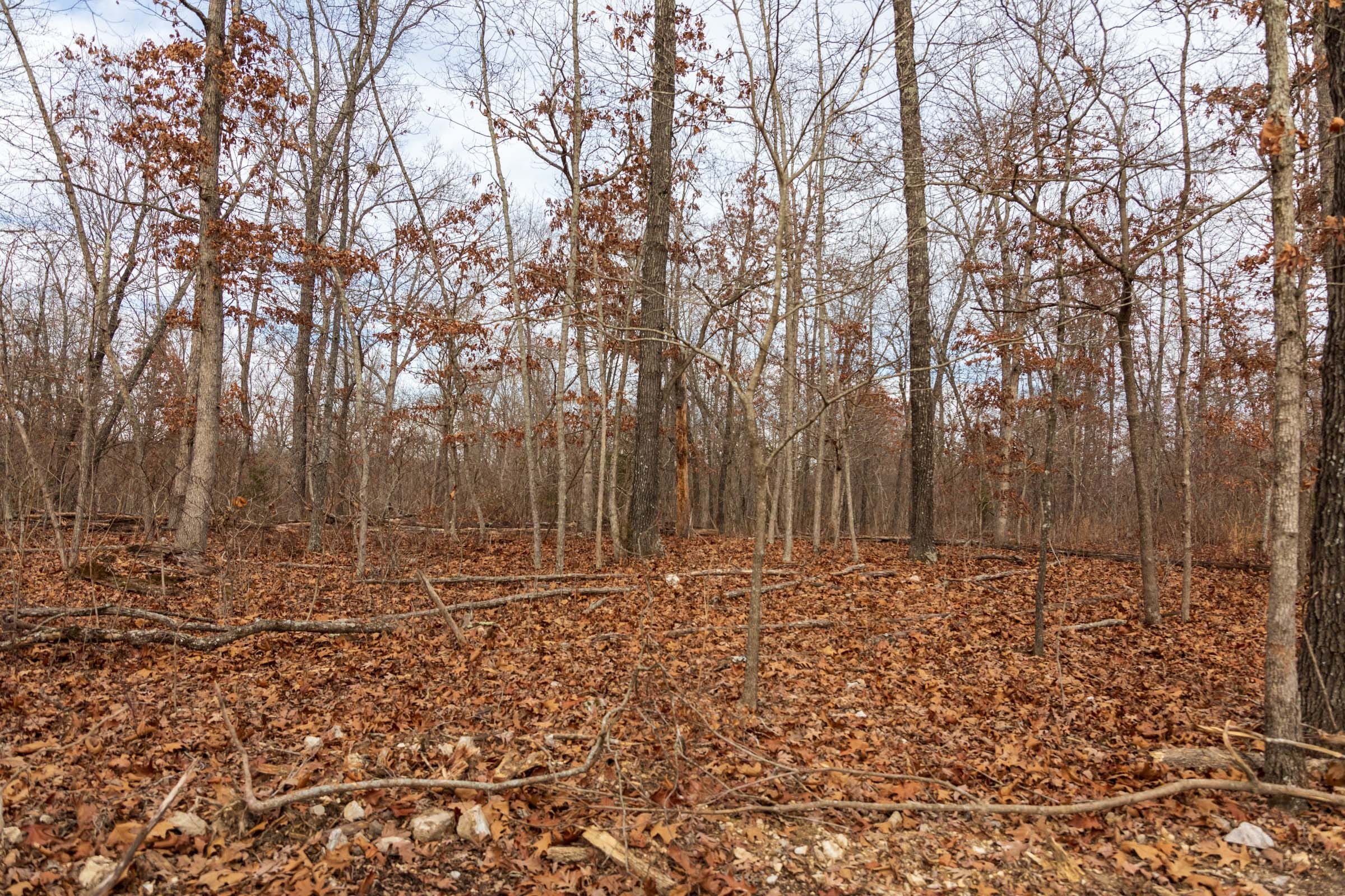 Crossroads Tract 20 photo 9