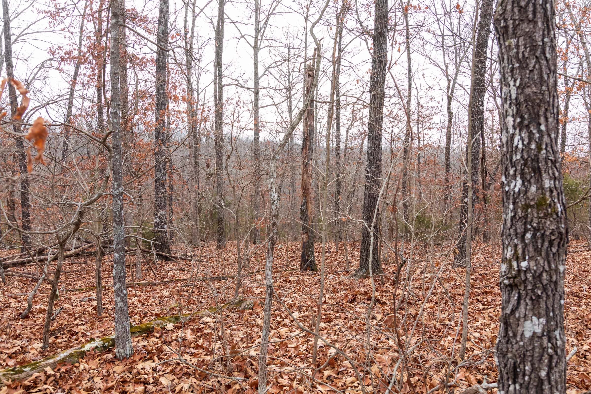 Crossroads Tract 20 photo 10