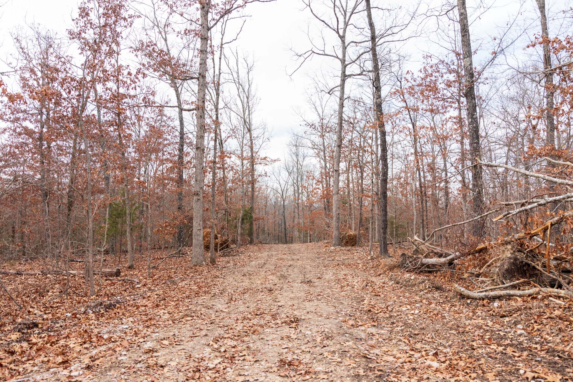 Crossroads Tract 20 photo 11