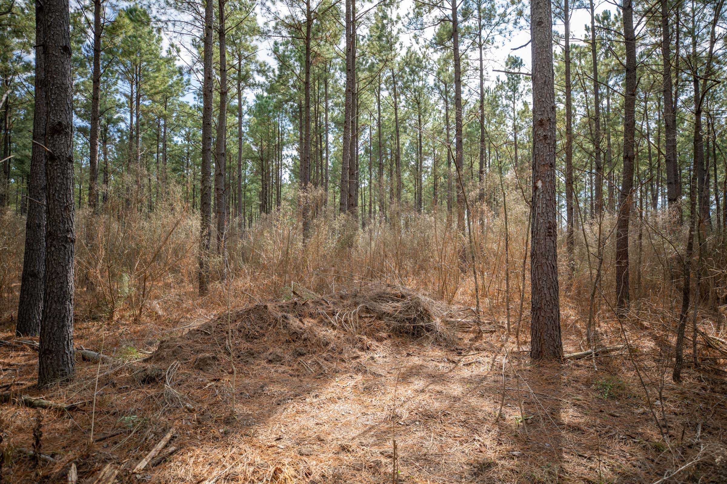 Wishing Star Ranch Tract 59 photo 1