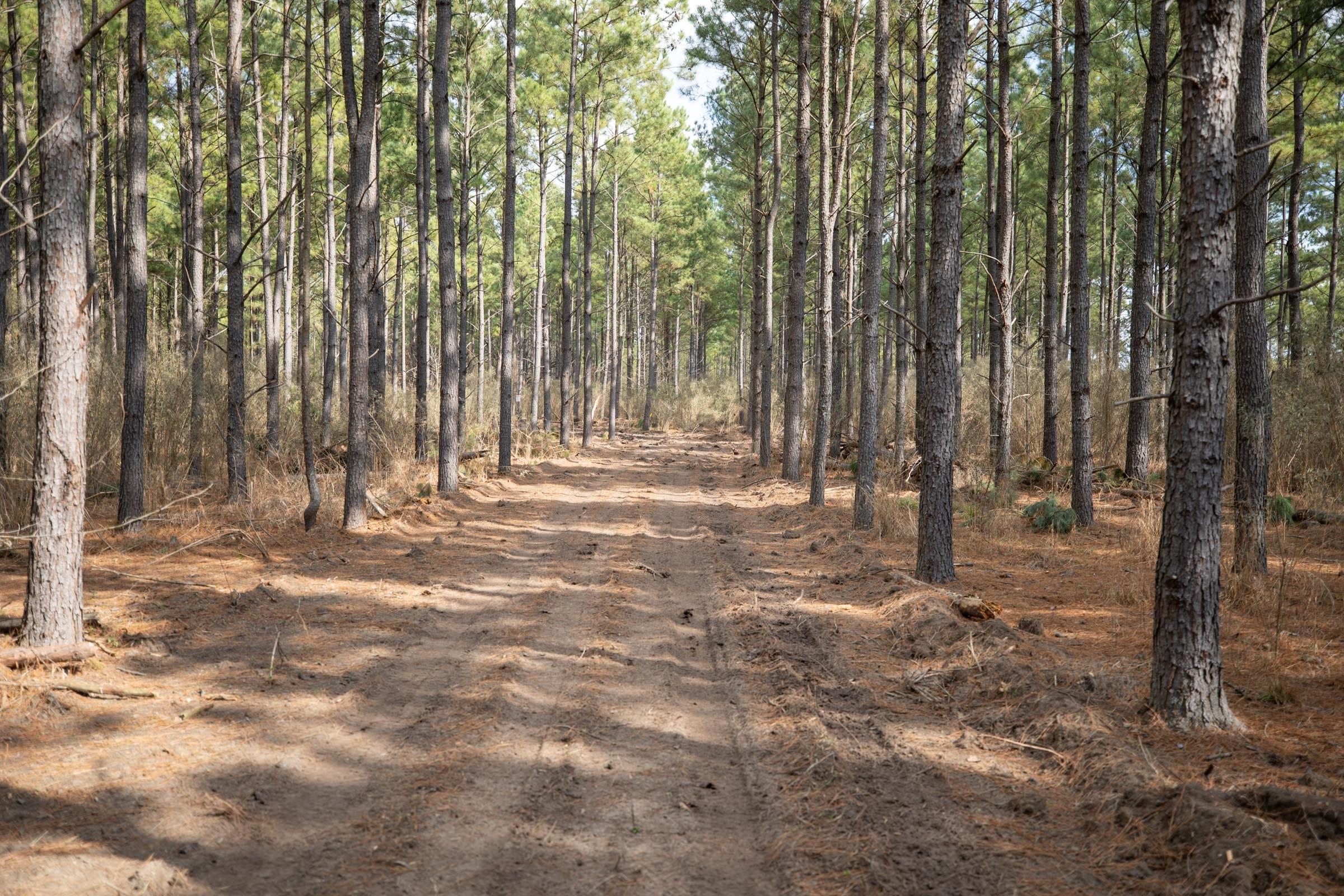Wishing Star Ranch Tract 59 photo 3