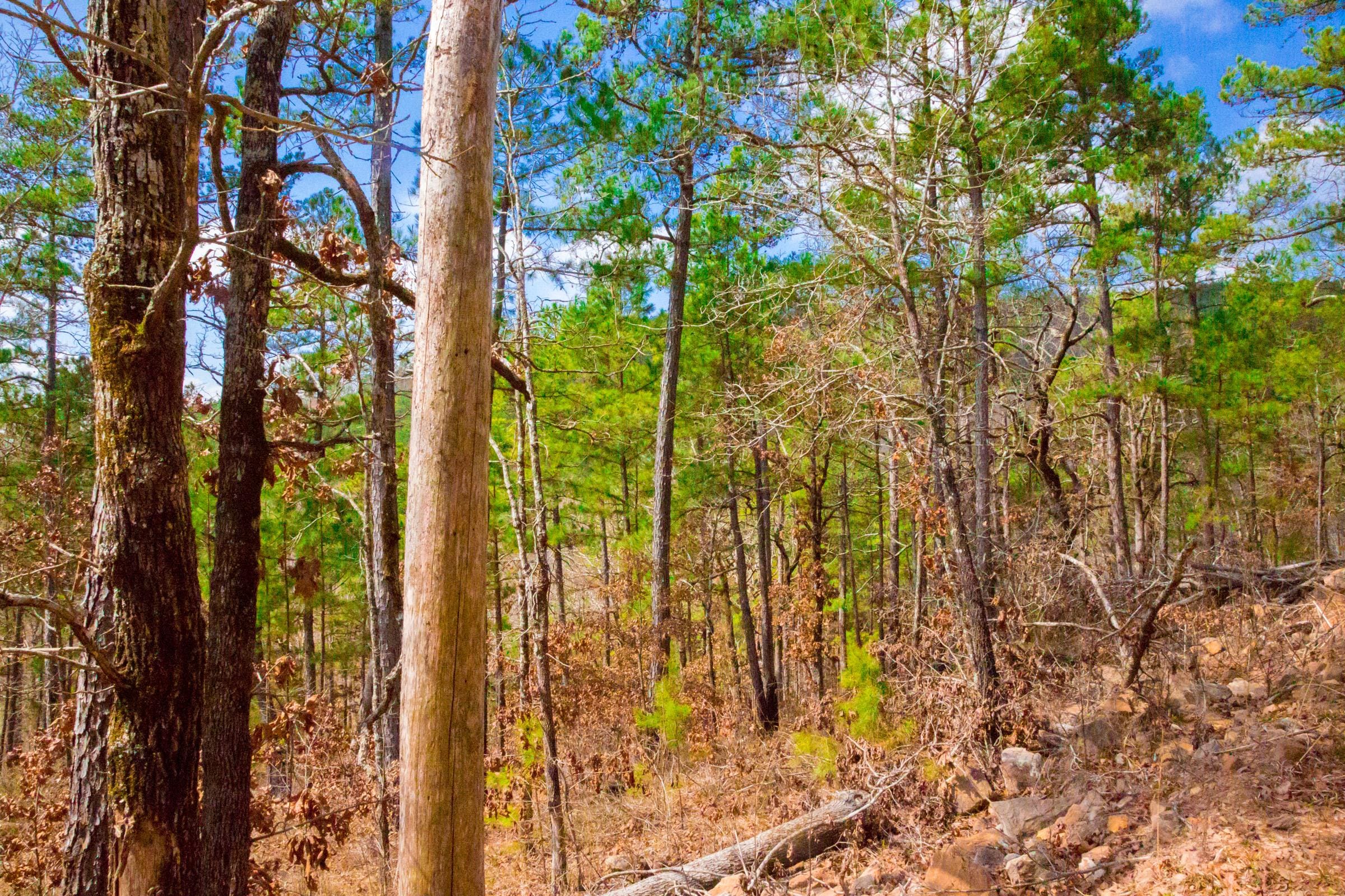 Stone Creek Phase II Tract 95 photo 6