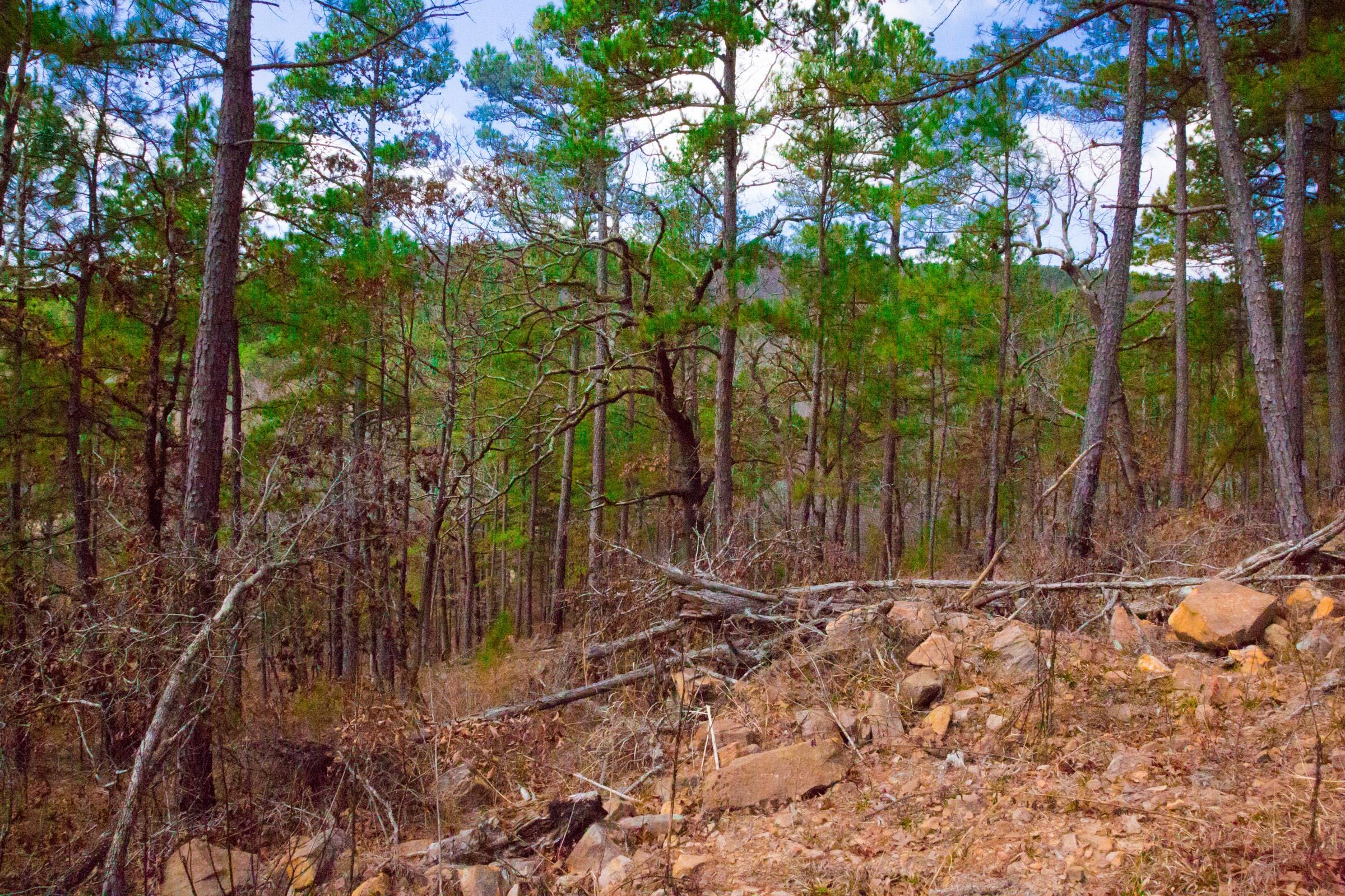 Stone Creek Phase II Tract 95 photo 8