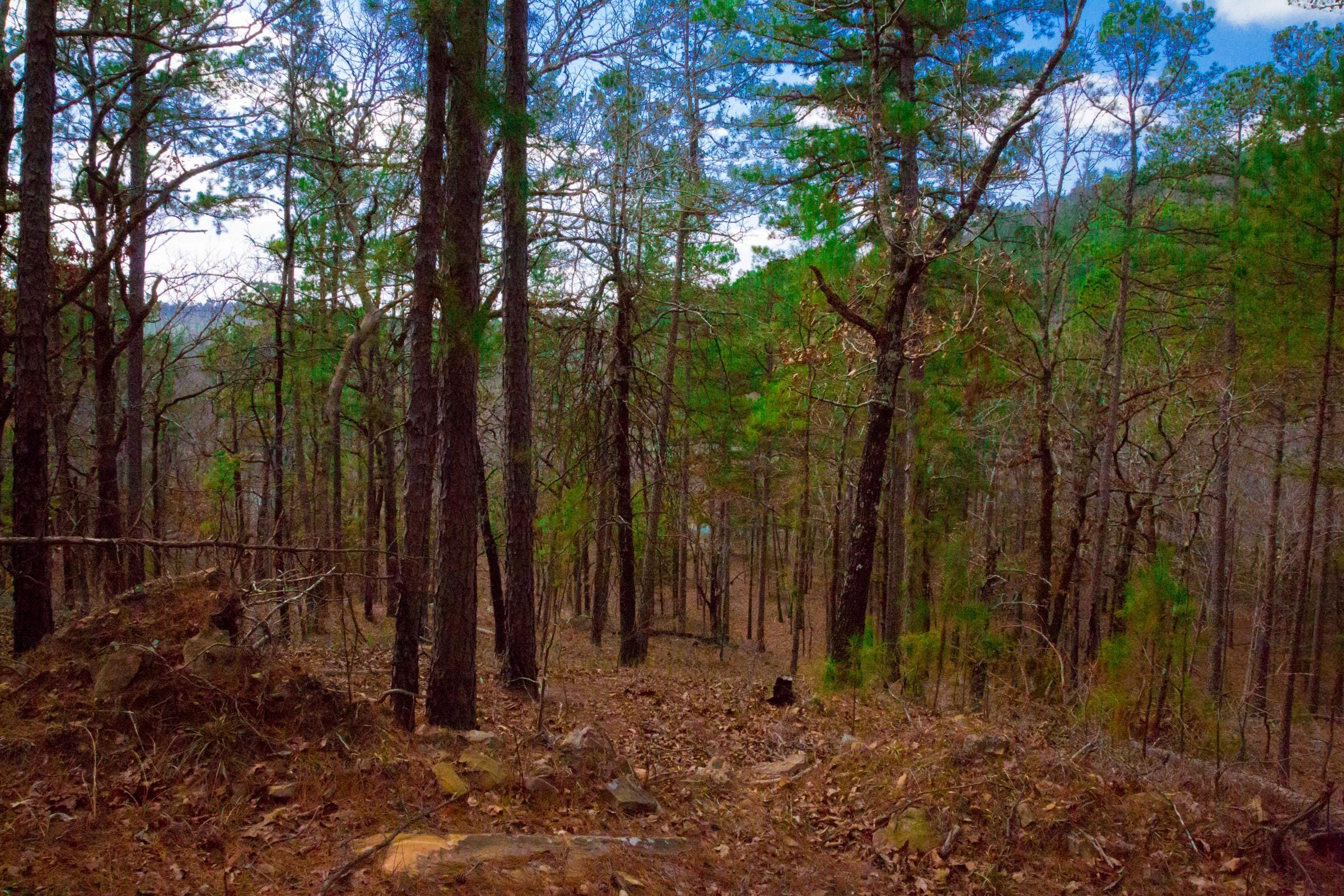 Stone Creek Phase II Tract 95 photo 12