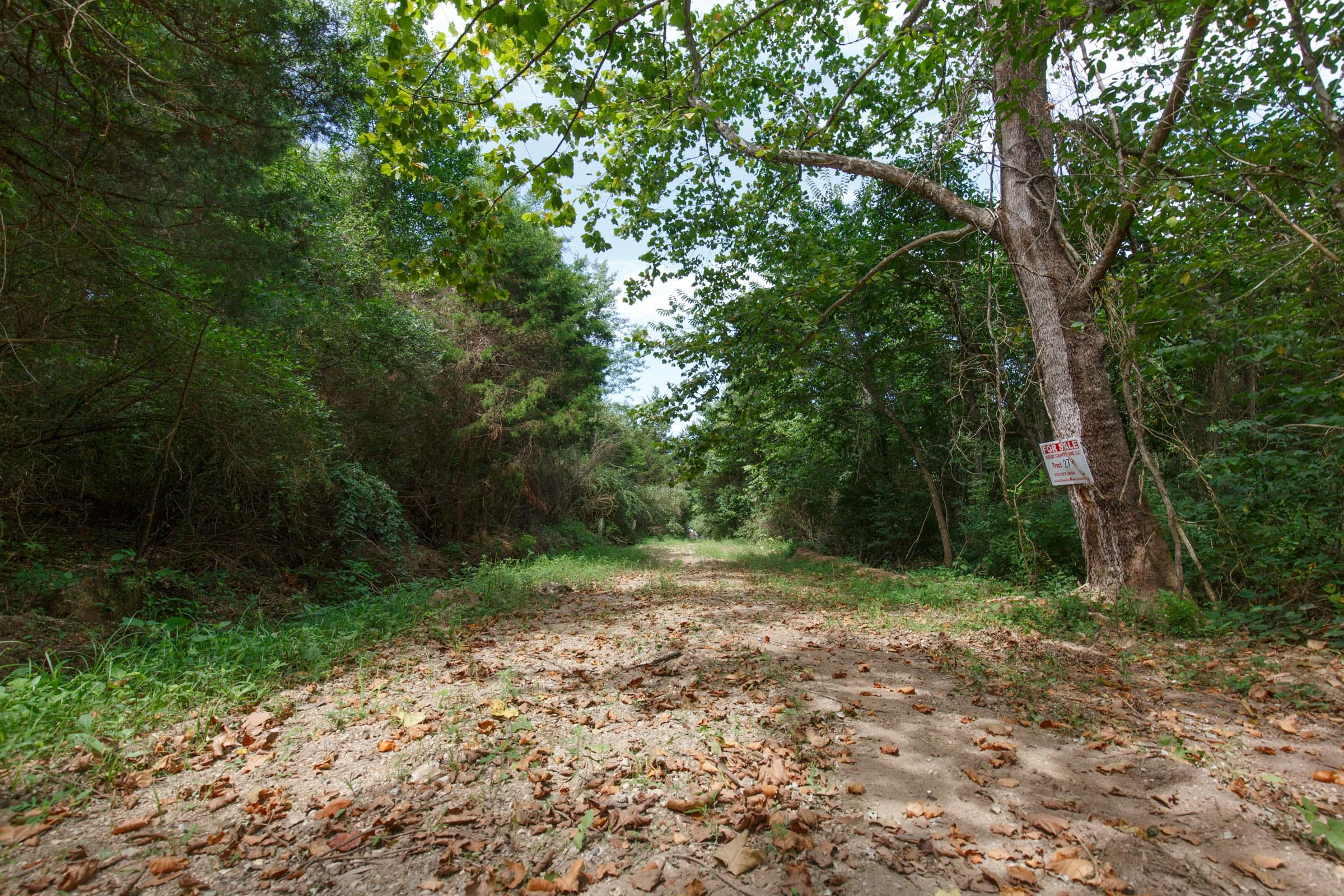 Spring Lake Plat 6 Tract 27 photo 2