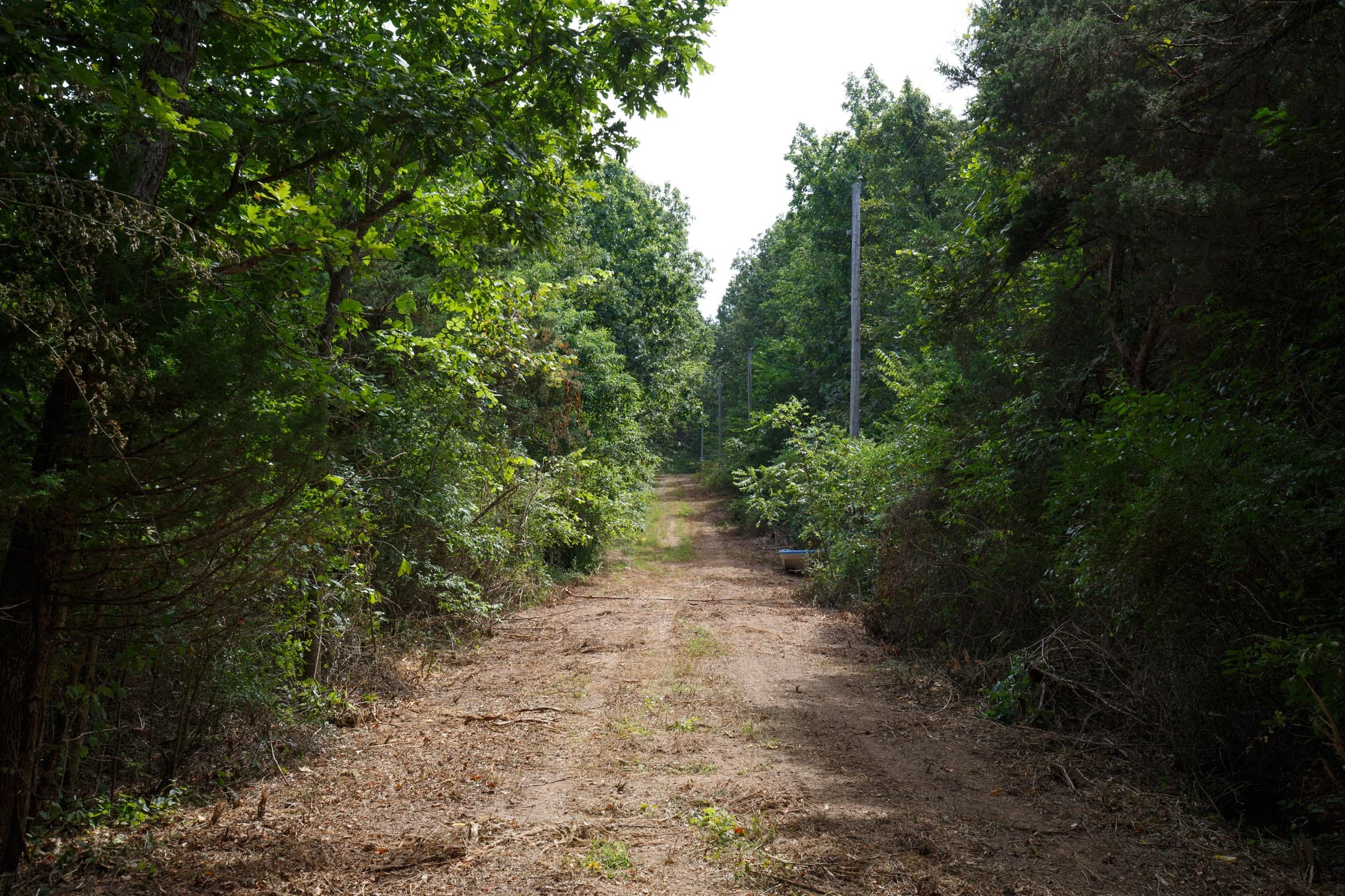 Spring Lake Plat 6 Tract 27 photo 4