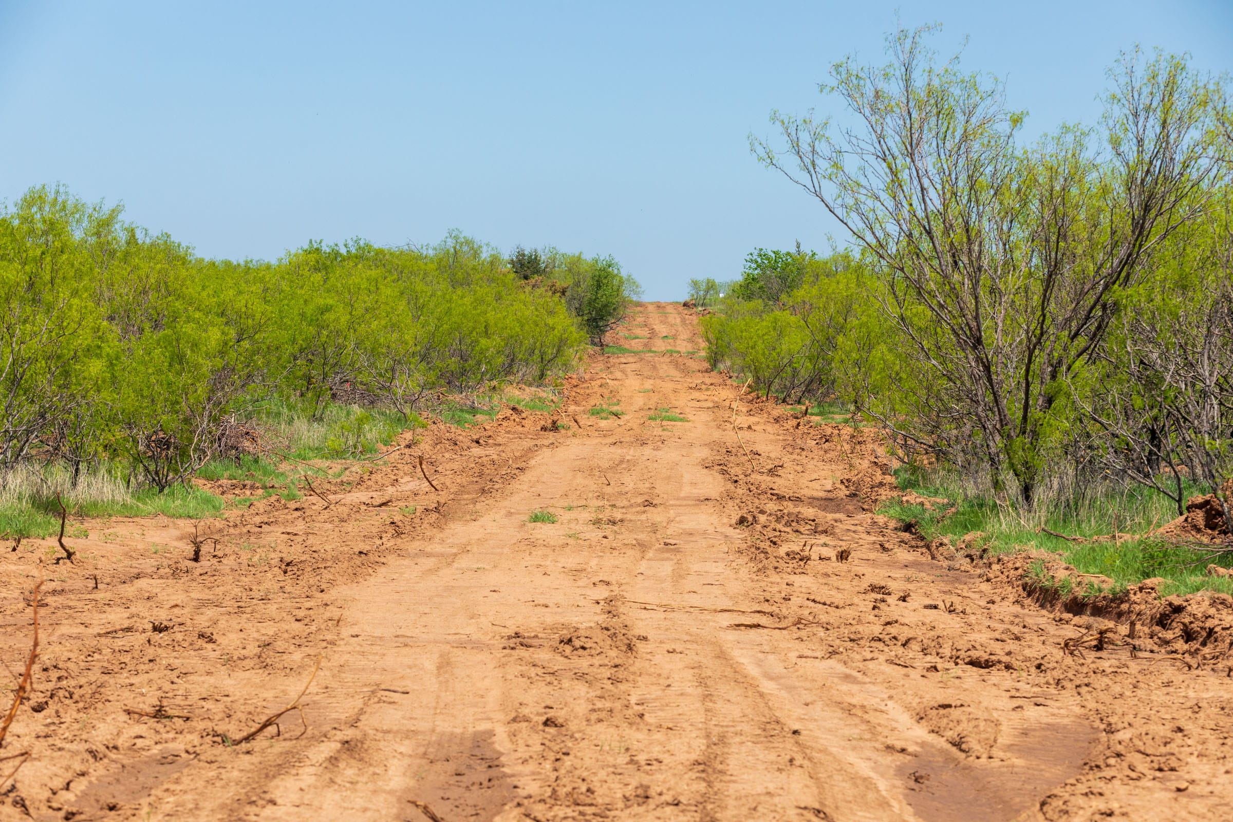 Hackberry Fields Tract 25 photo 10