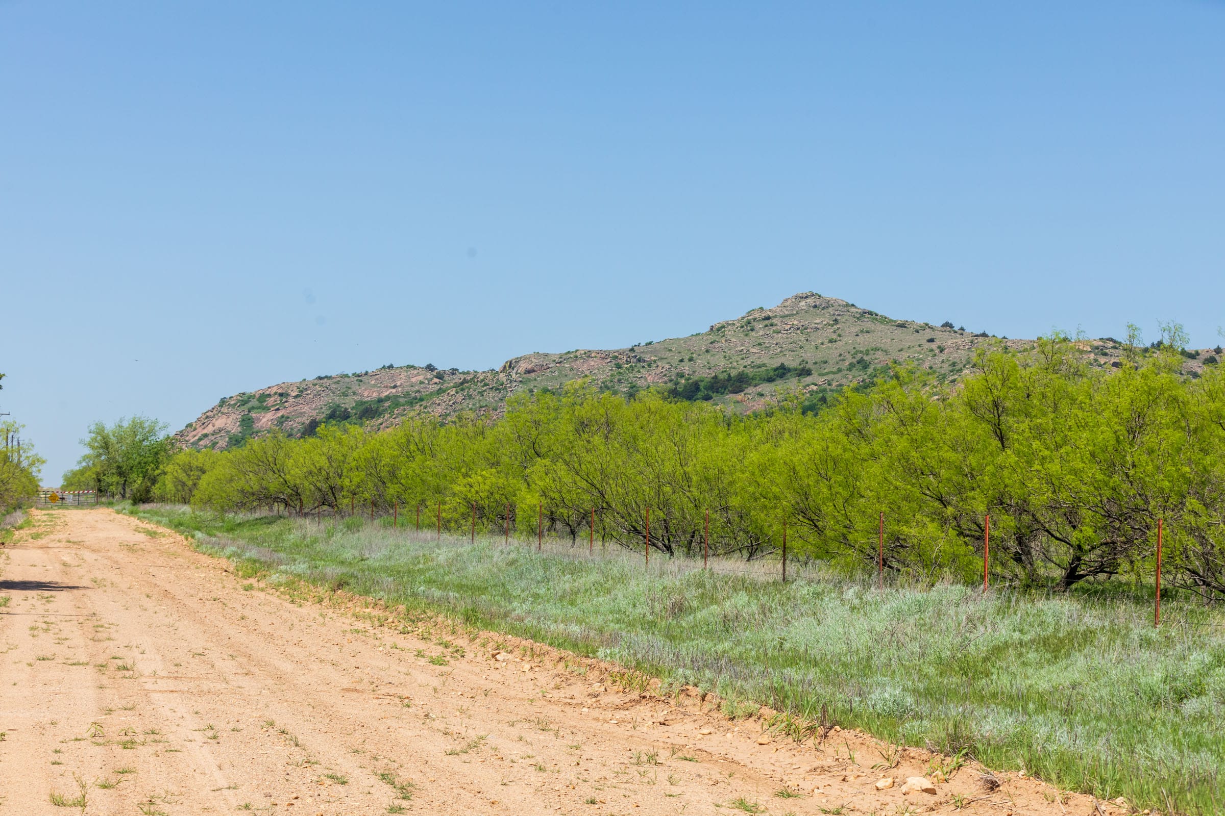 Hackberry Fields Tract 25 photo 5