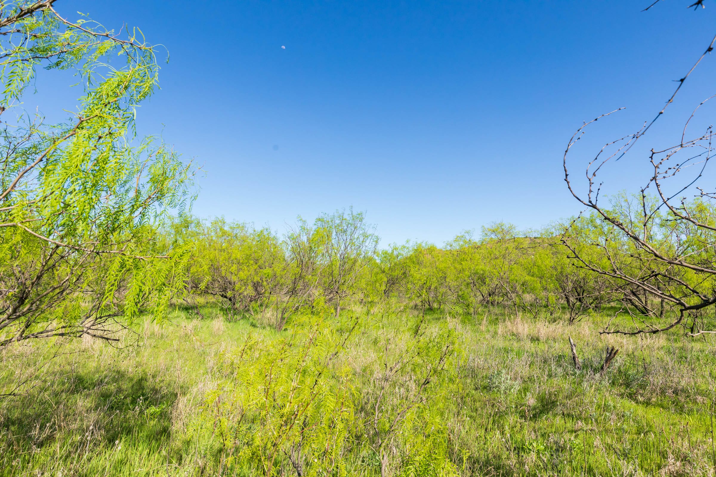 Hackberry Fields Tract 25 photo 11