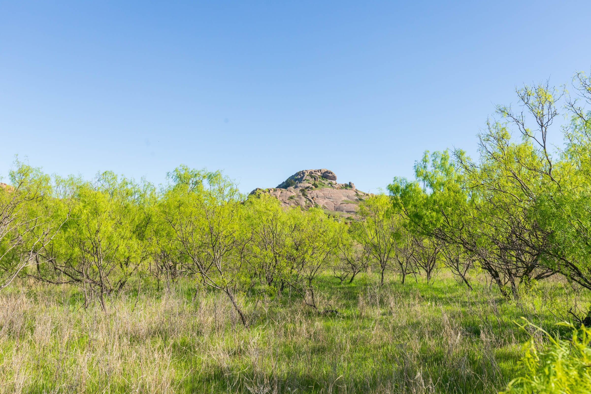 Hackberry Fields Tract 25 photo 8