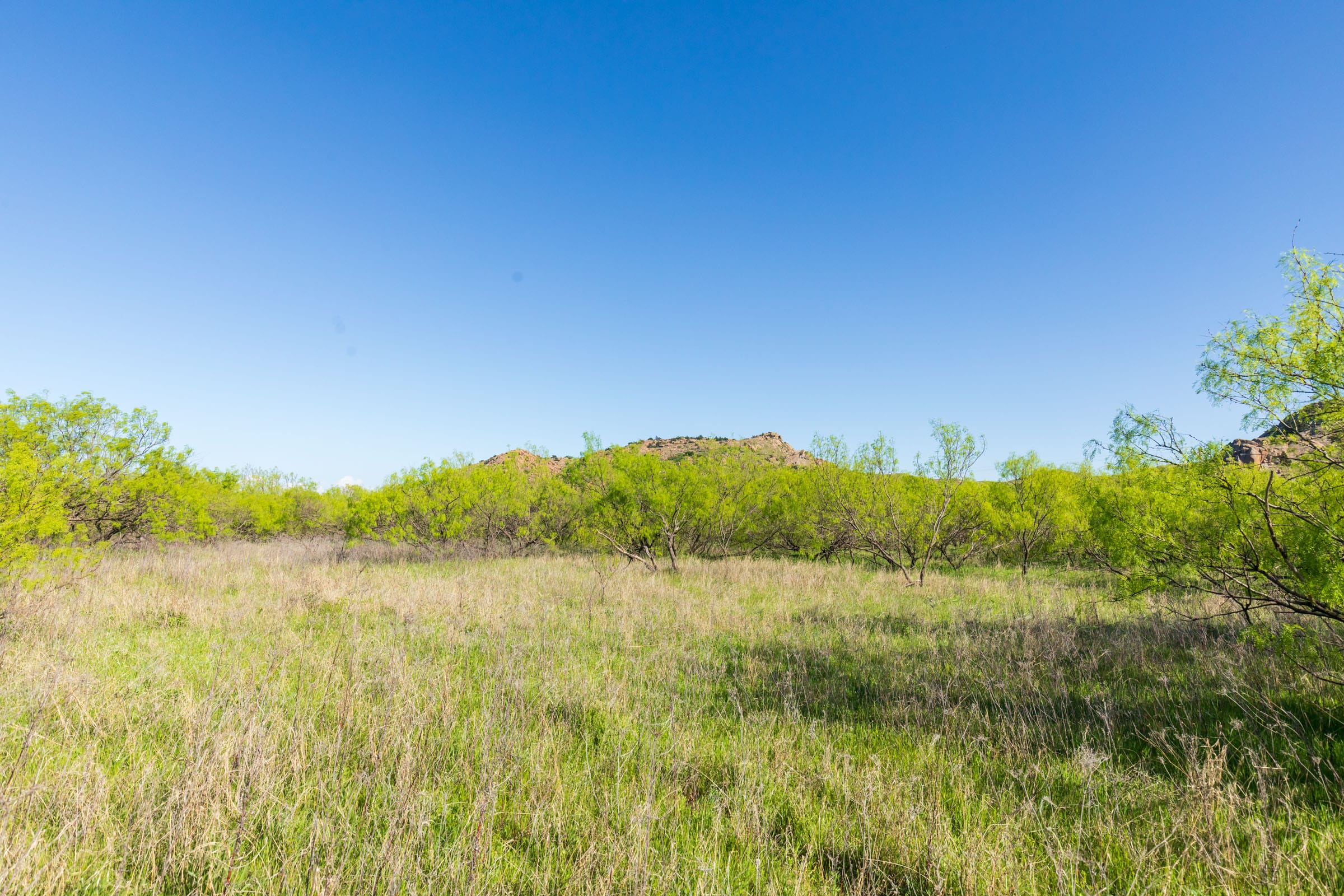 Hackberry Fields Tract 25 photo 13