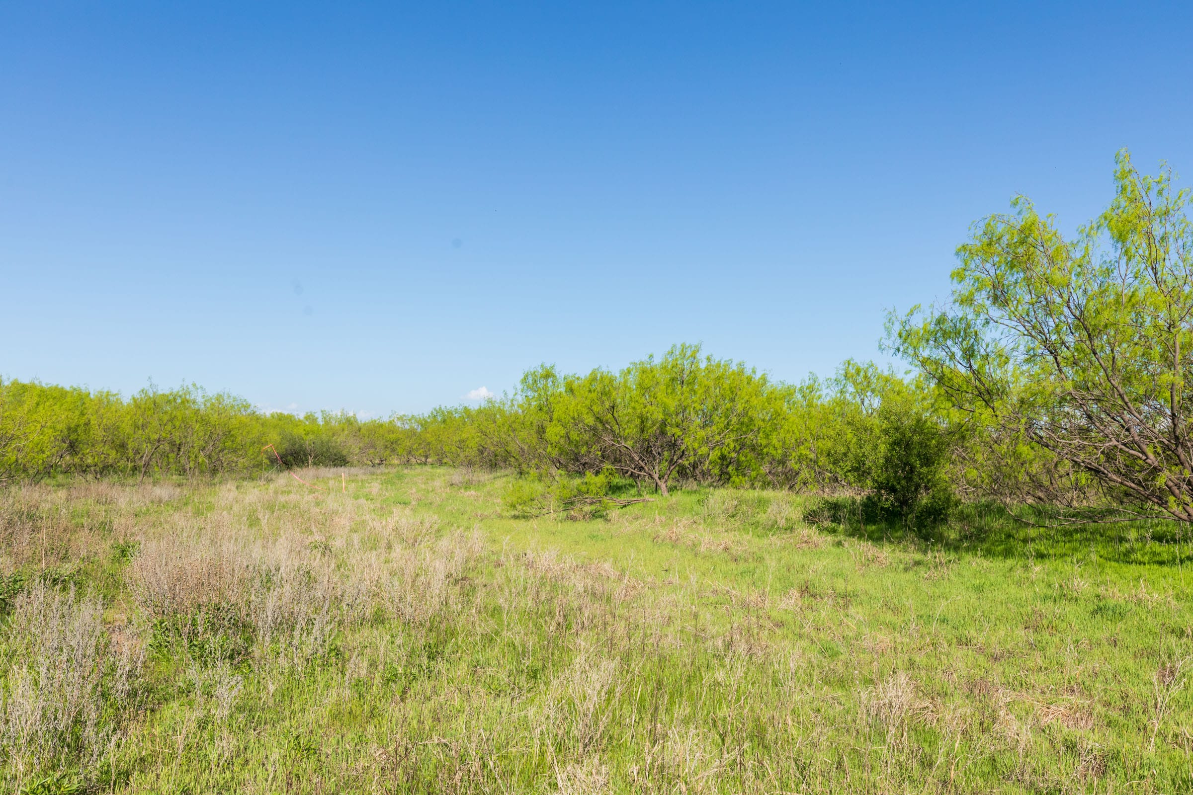 Hackberry Fields Tract 25 photo 18