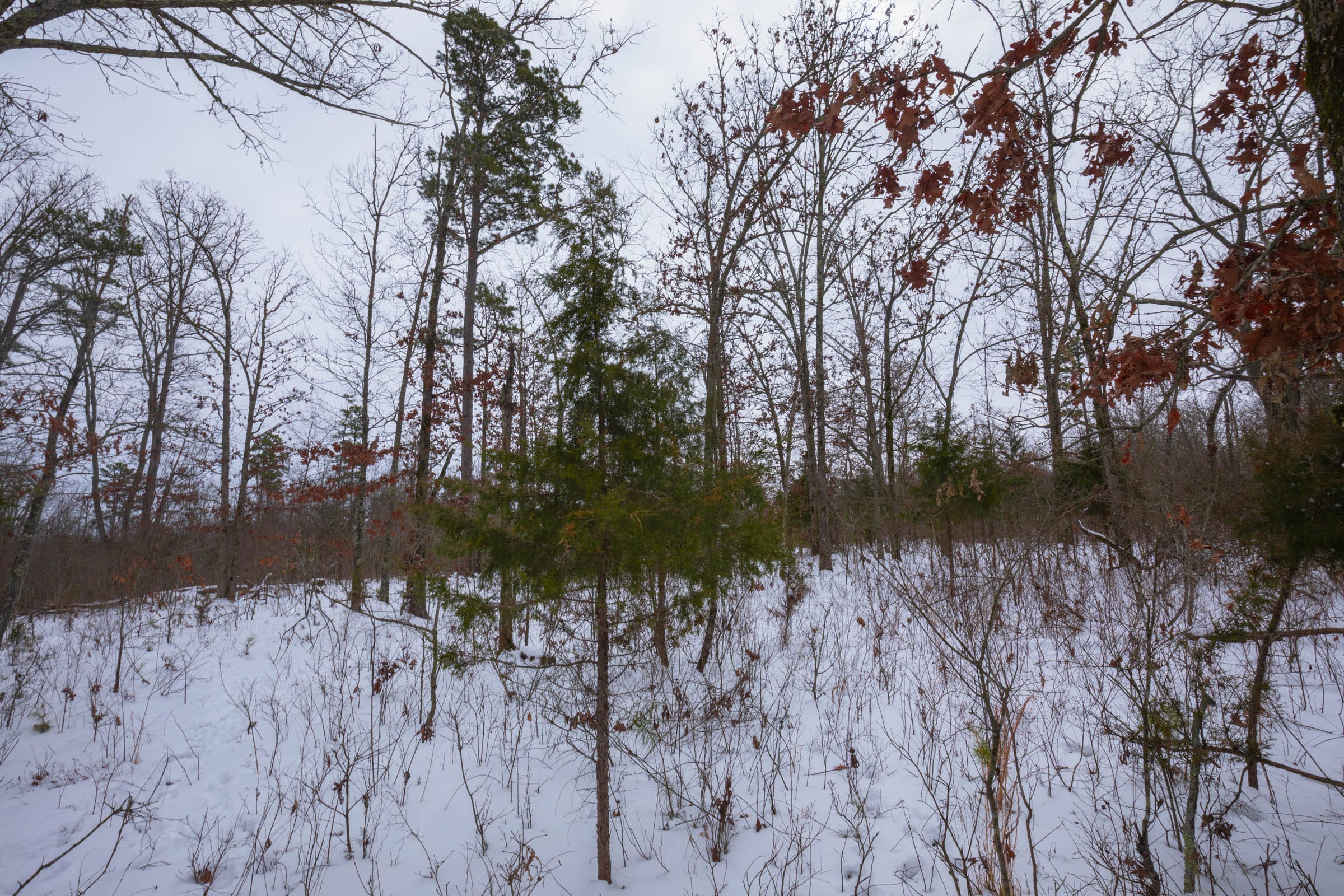 Sleepy Hollow Phase I Tract 52 photo 2