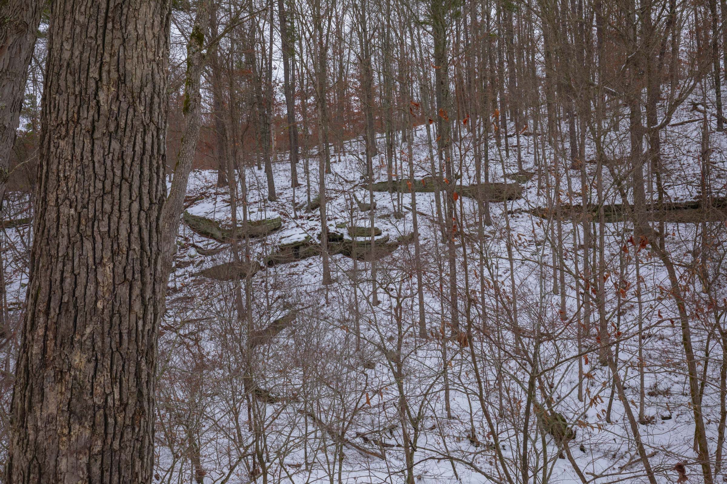 Sleepy Hollow Phase I Tract 52 photo 9