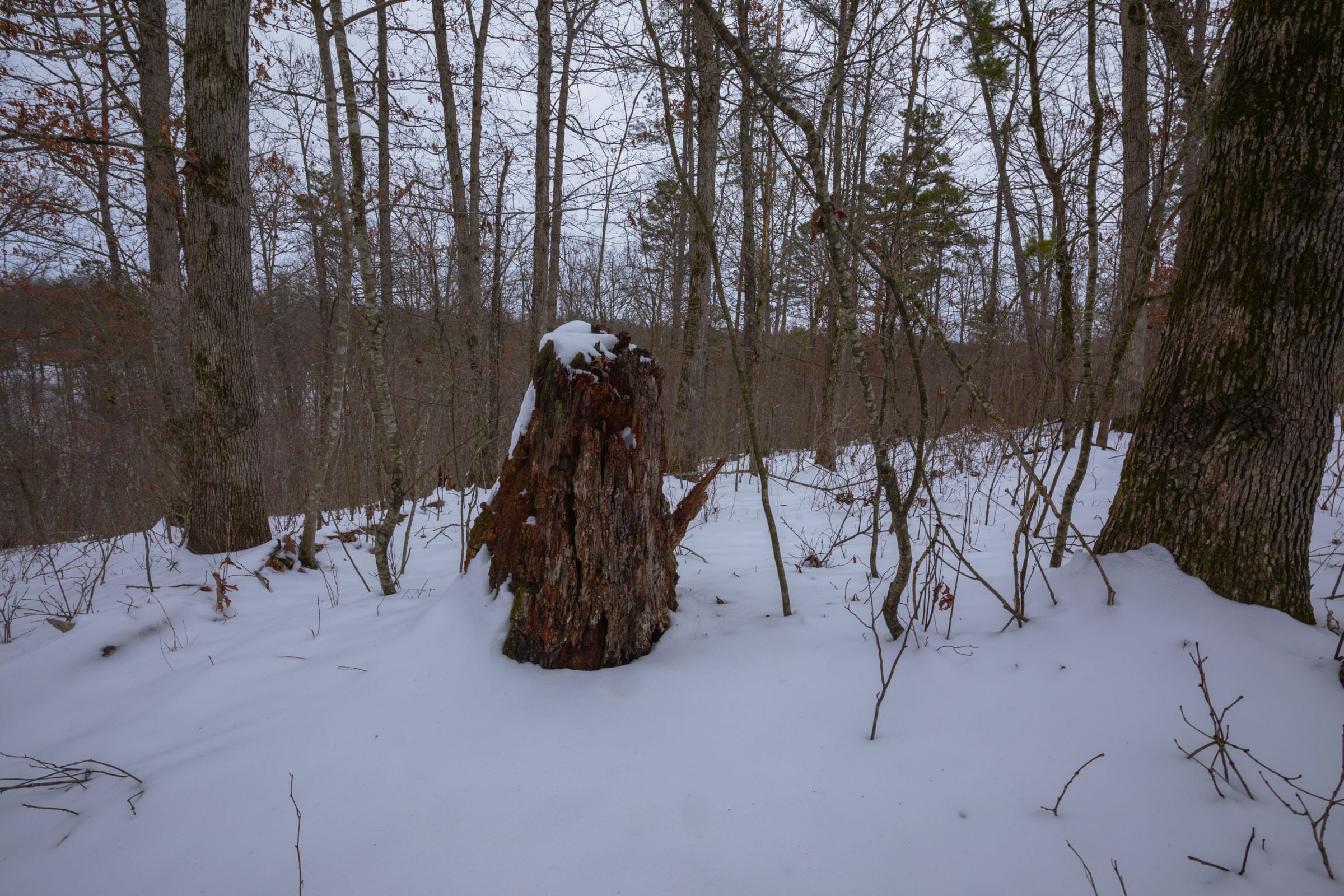 Sleepy Hollow Phase I Tract 52 photo 7