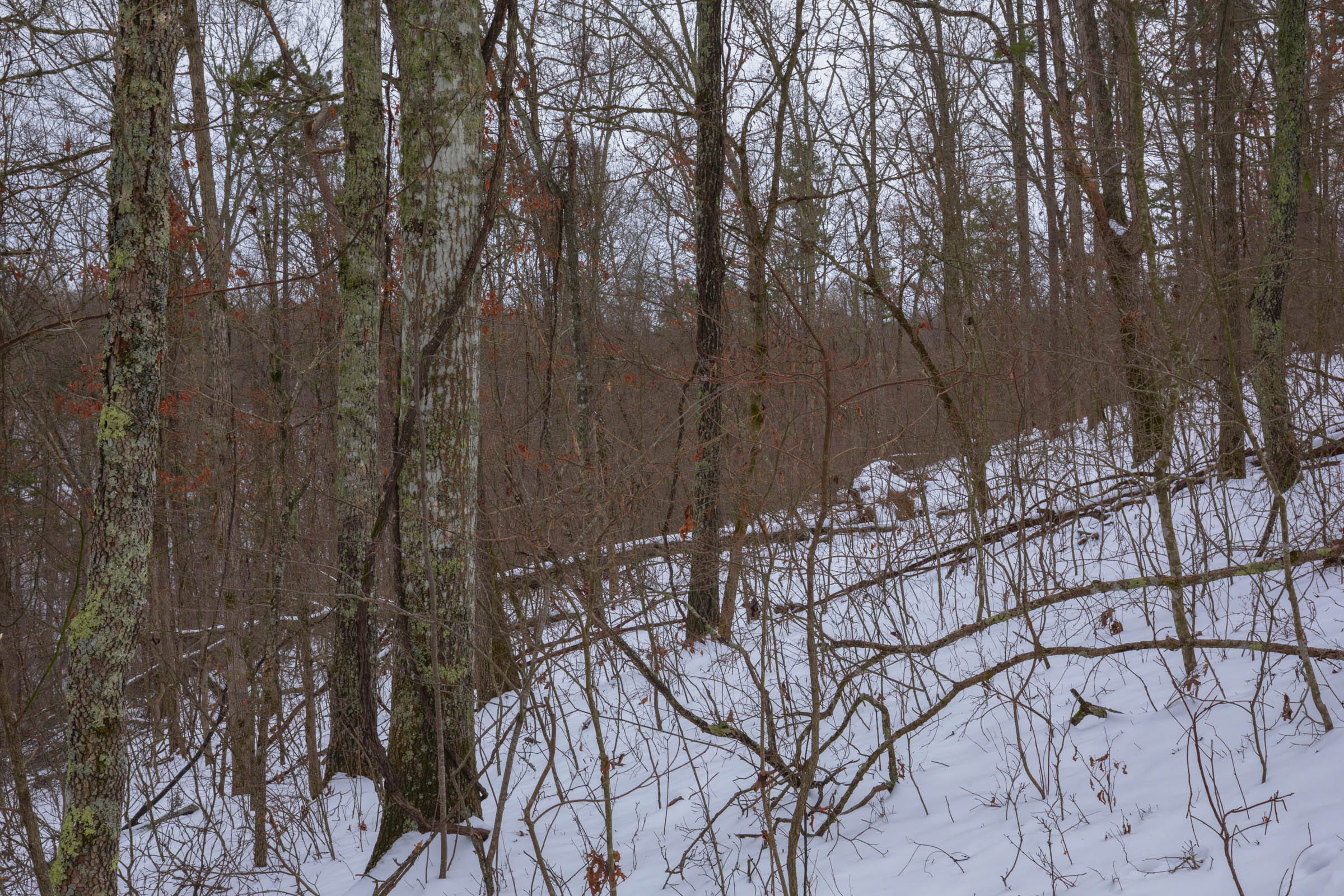 Sleepy Hollow Phase I Tract 52 photo 1