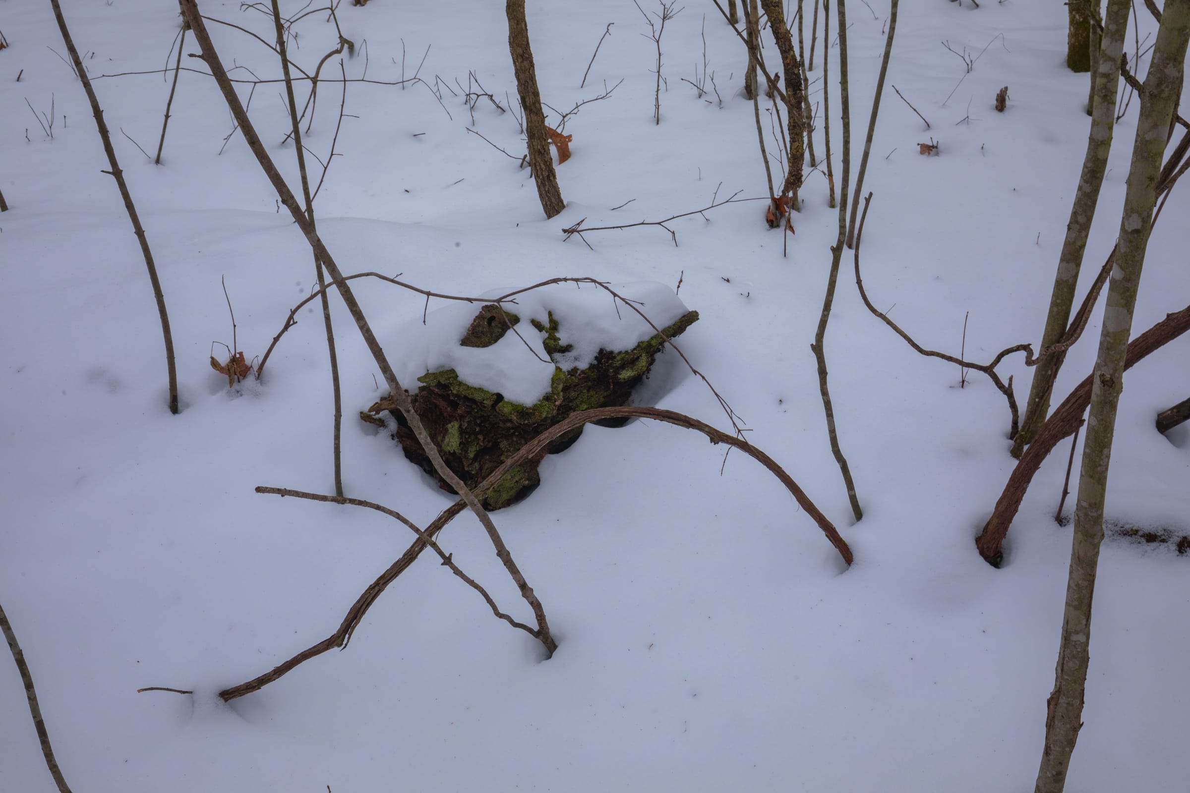 Sleepy Hollow Phase I Tract 52 photo 6