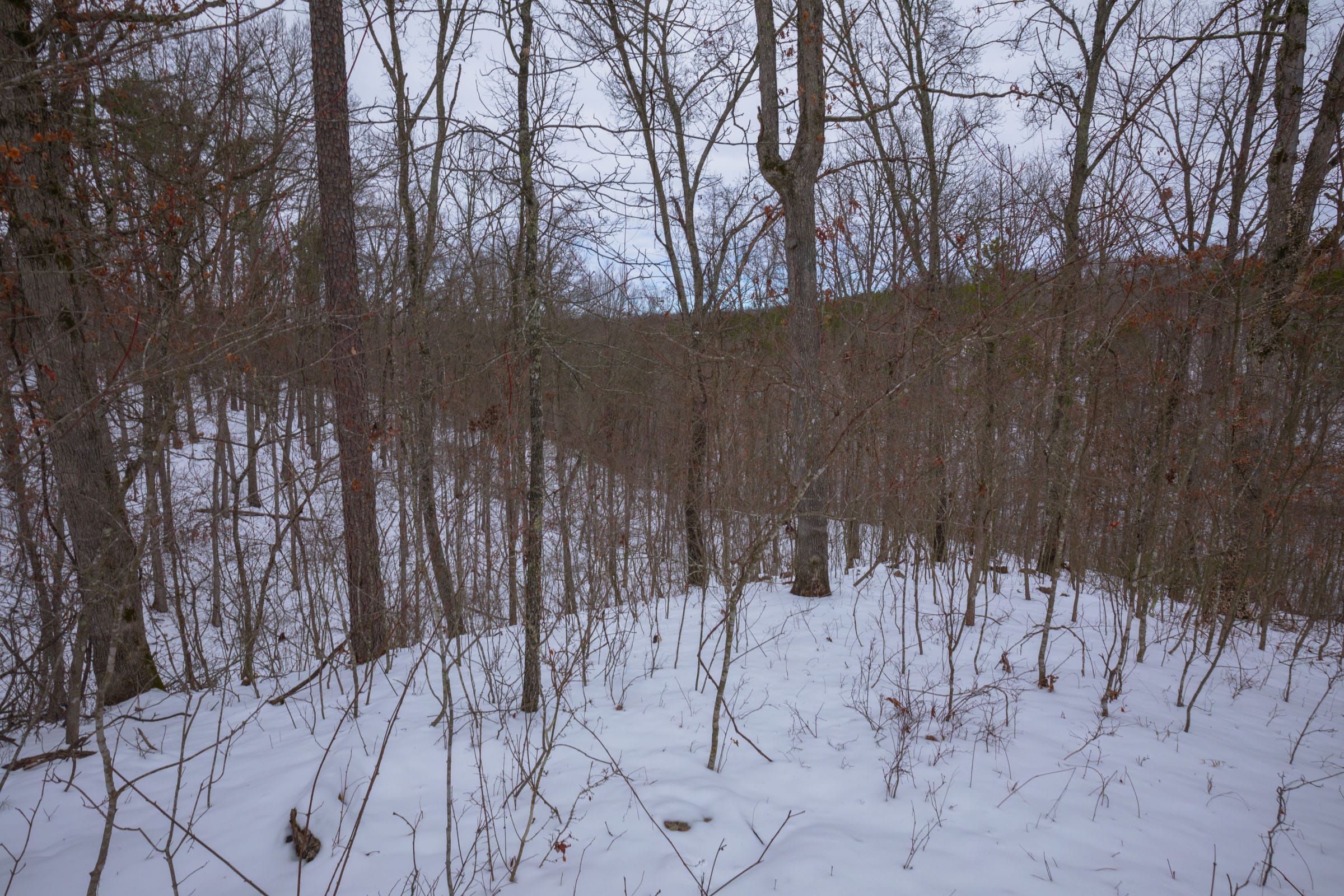 Sleepy Hollow Phase I Tract 52 photo 4