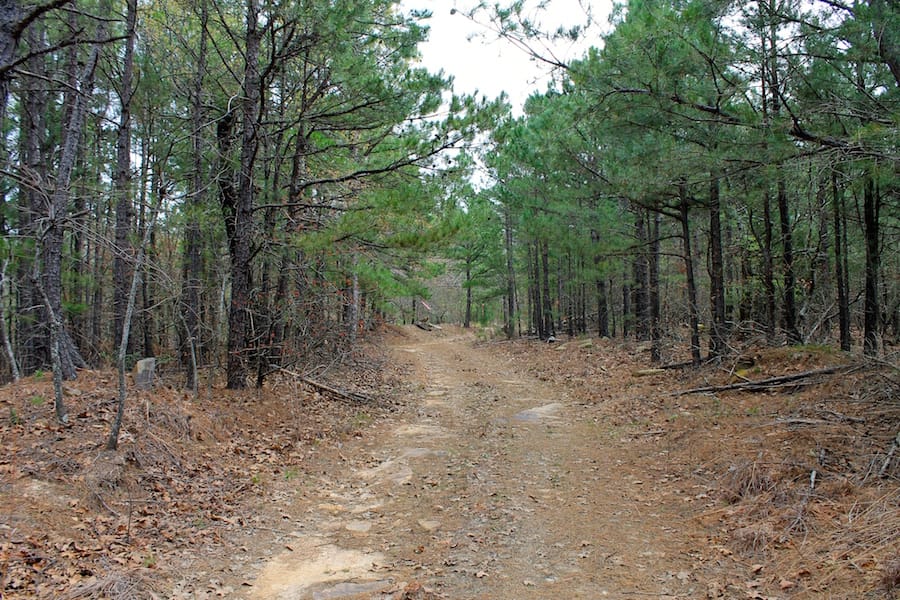 Trophy Ridge Phase III Tract 37 photo 1