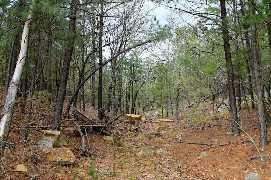 Trophy Ridge Phase III Tract 37 photo 15
