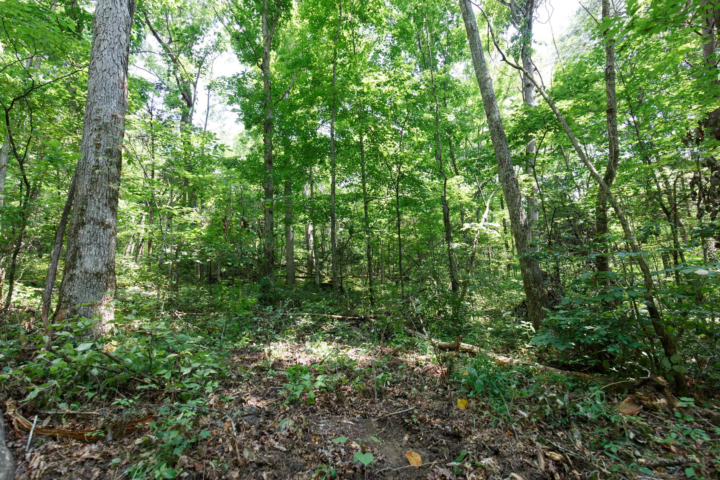 Rolling Hills Tract 7 photo 5