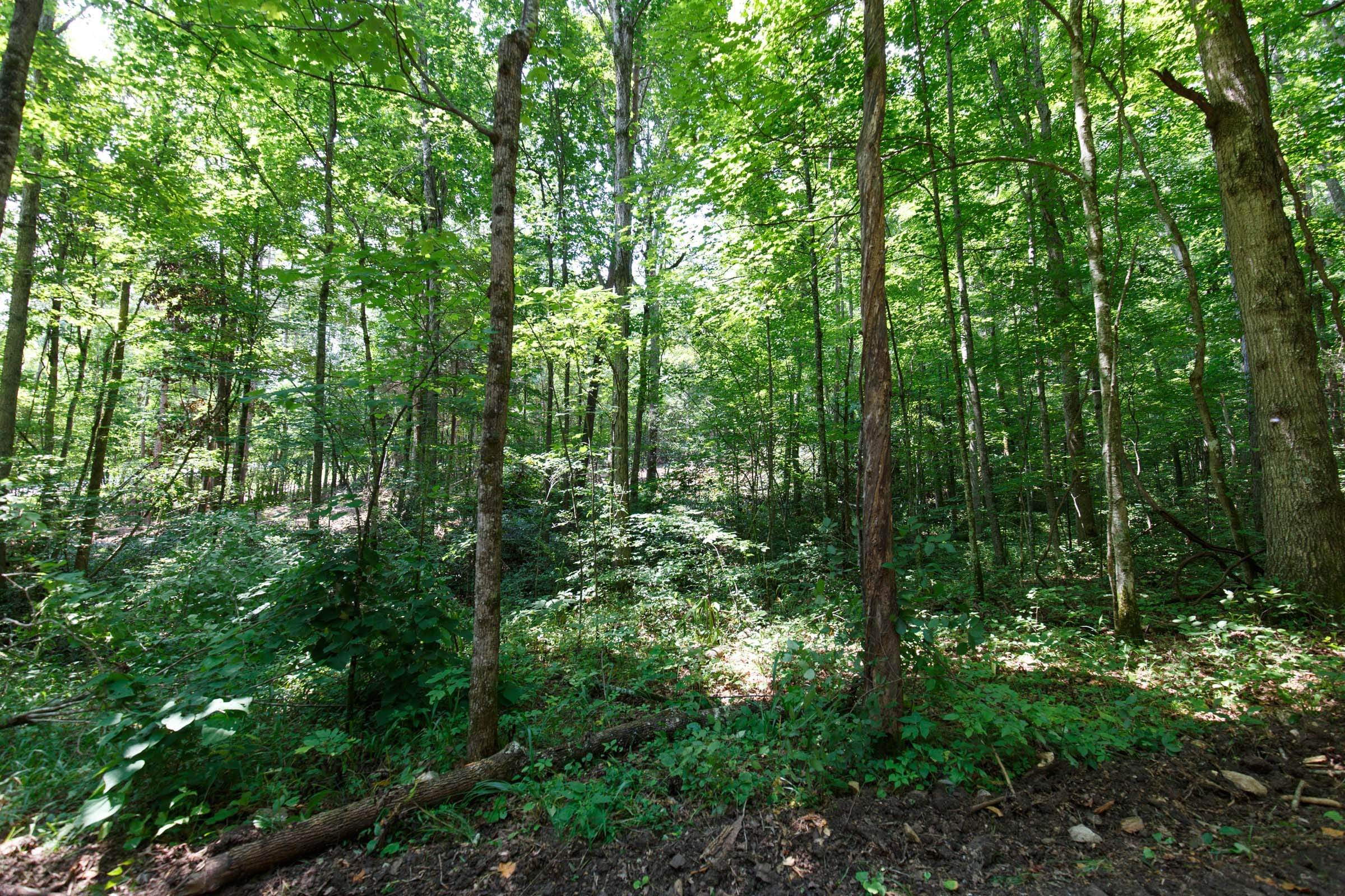 Rolling Hills Tract 7 photo 6