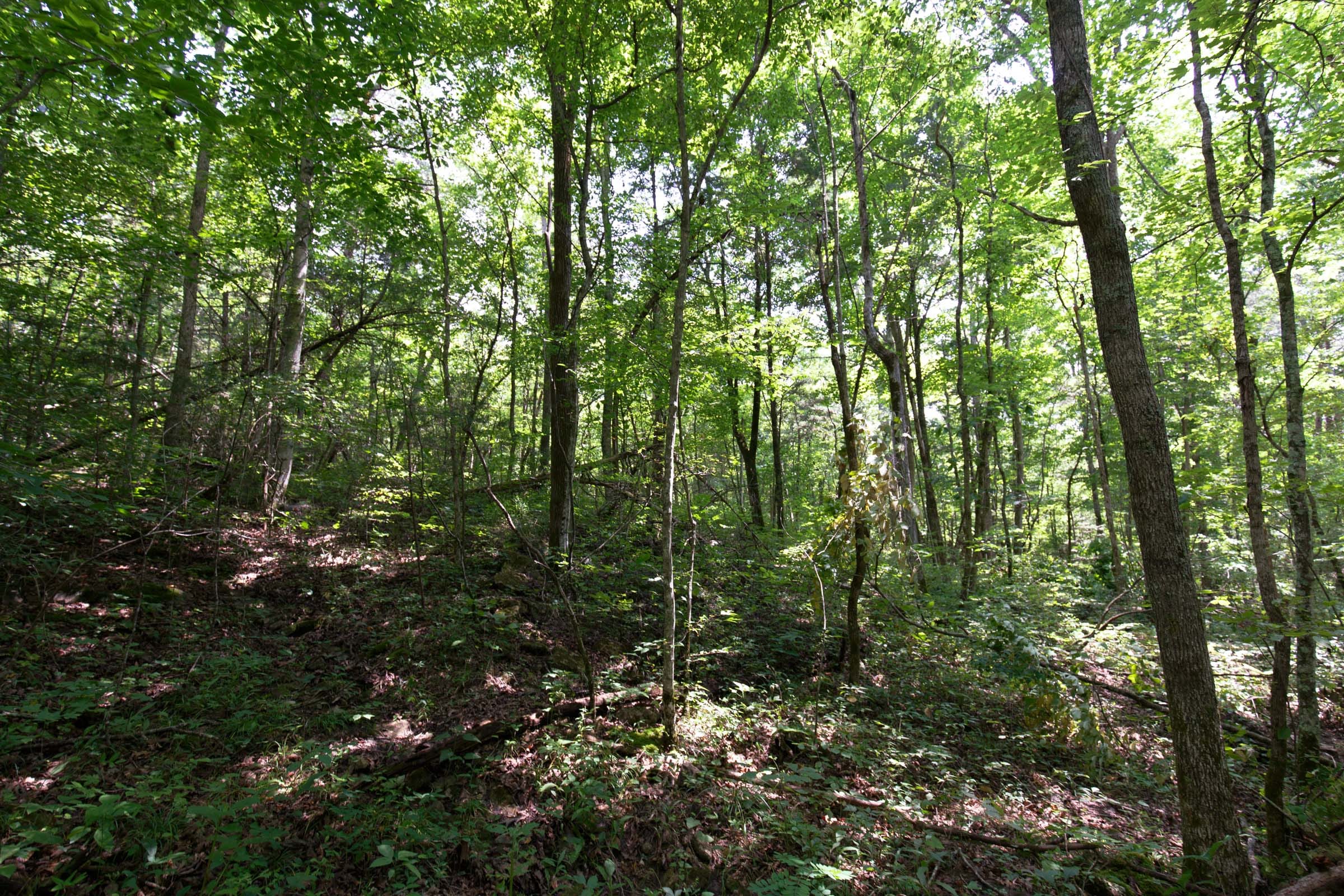 Rolling Hills Tract 7 photo 9